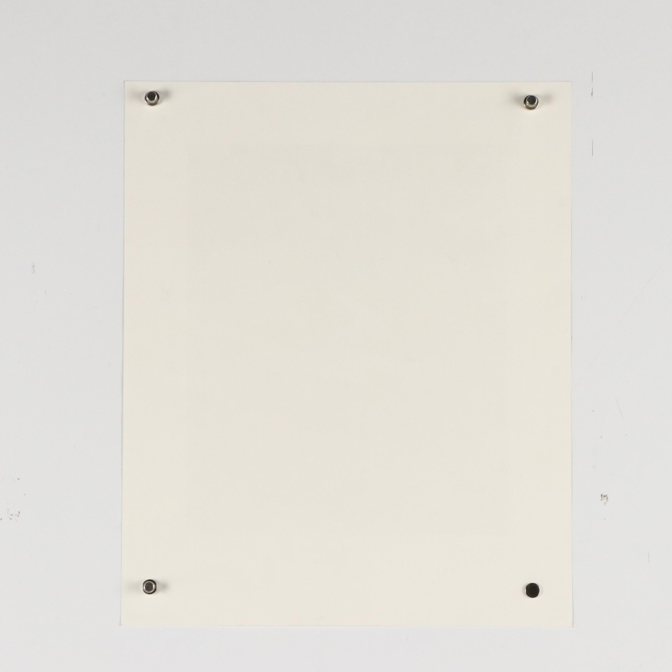 John A. Ruthven Offset "Red-Headed Woodpecker," 1991