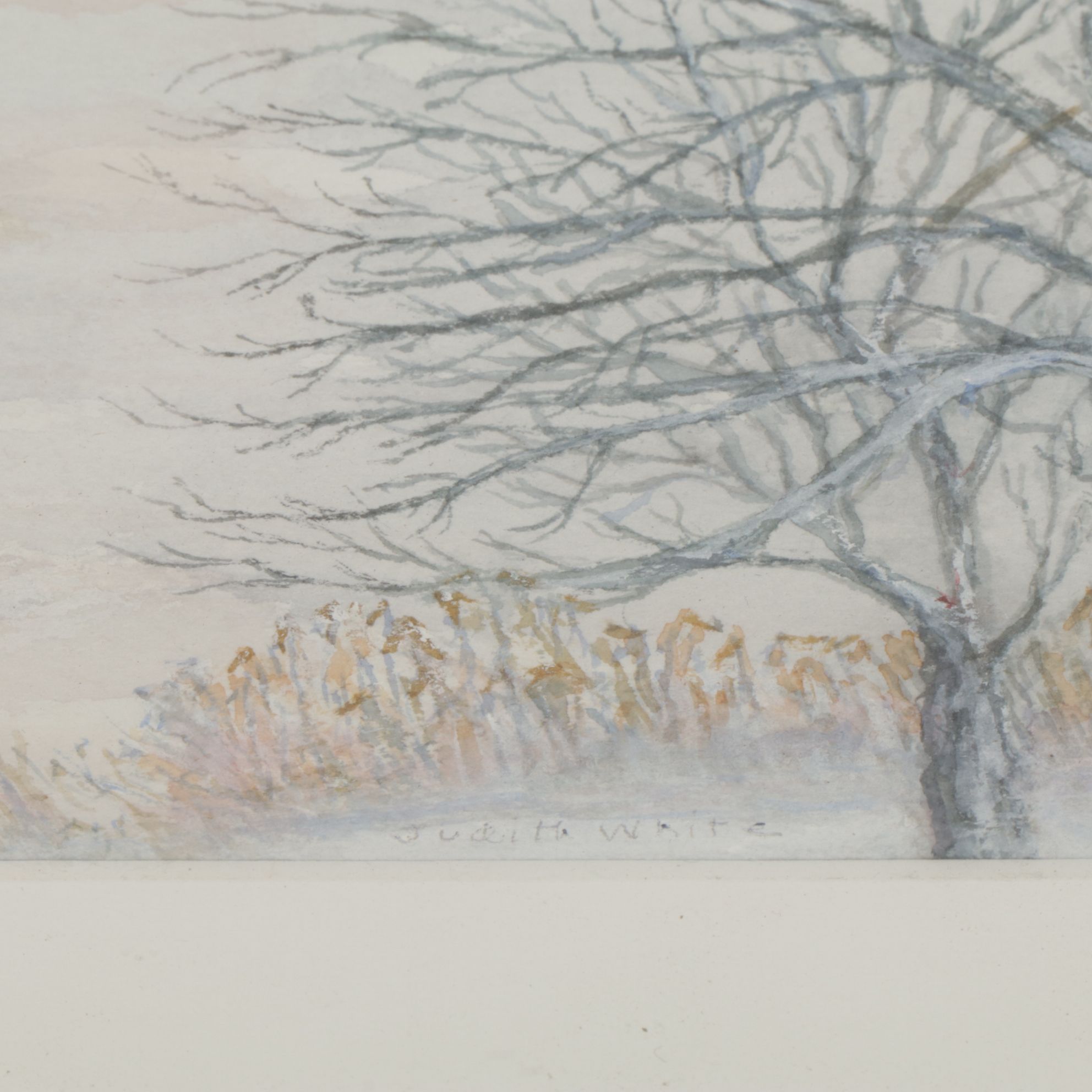 Judith White Pastel Toned Watercolor Landscape Painting of Winter Plains