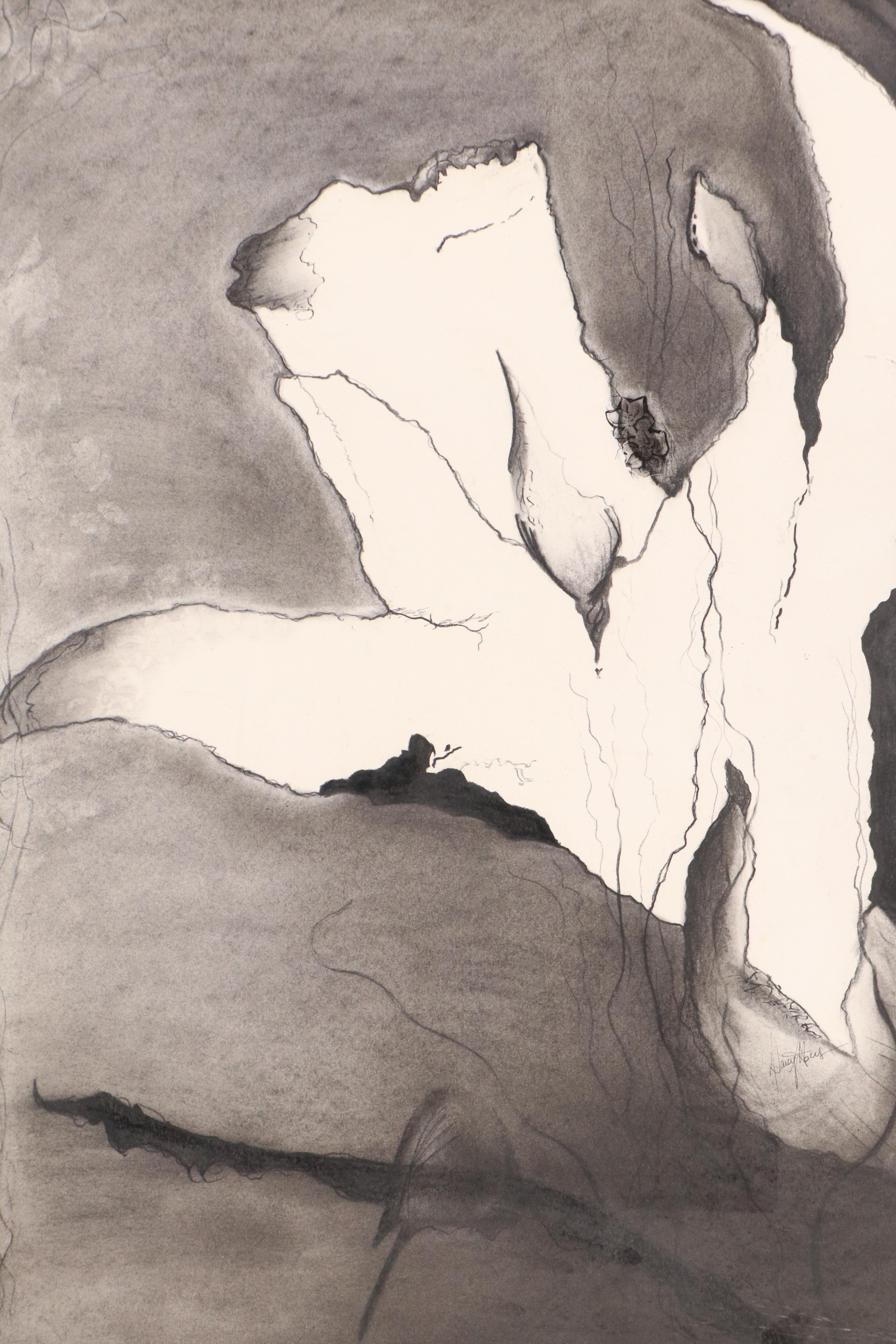 Floral Charcoal Drawings, Late 20th or 21st Century