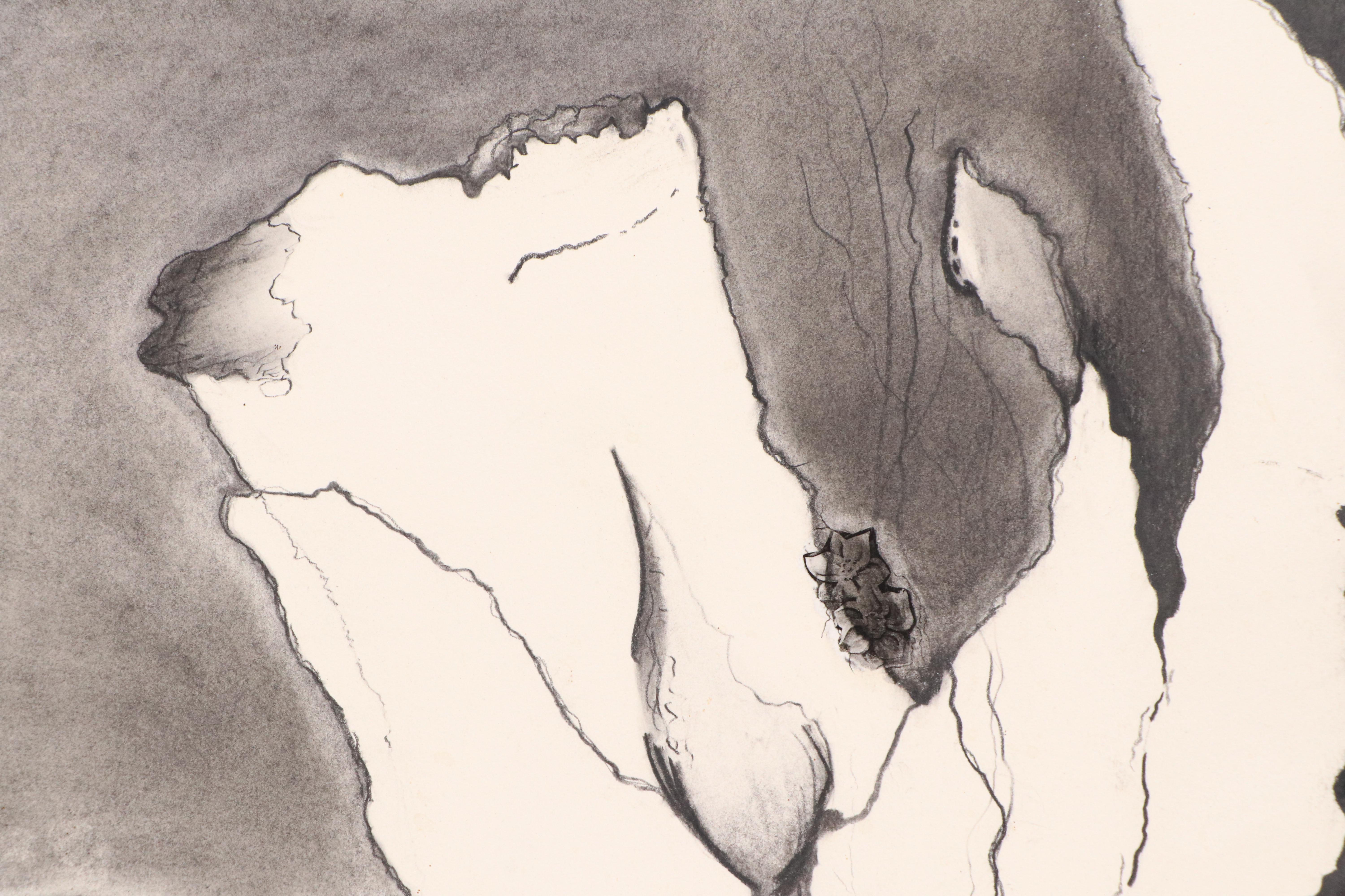 Floral Charcoal Drawings, Late 20th or 21st Century