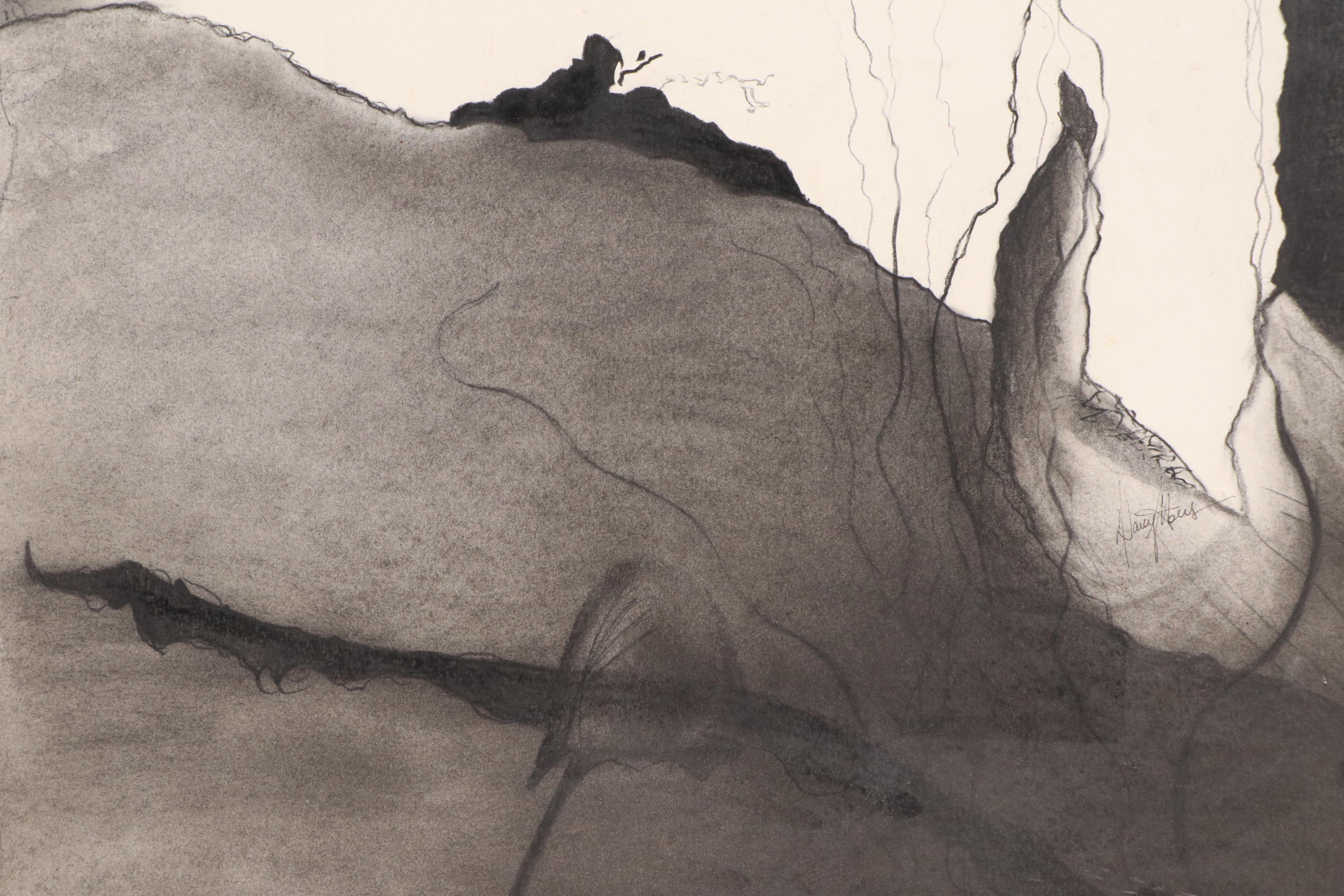 Floral Charcoal Drawings, Late 20th or 21st Century