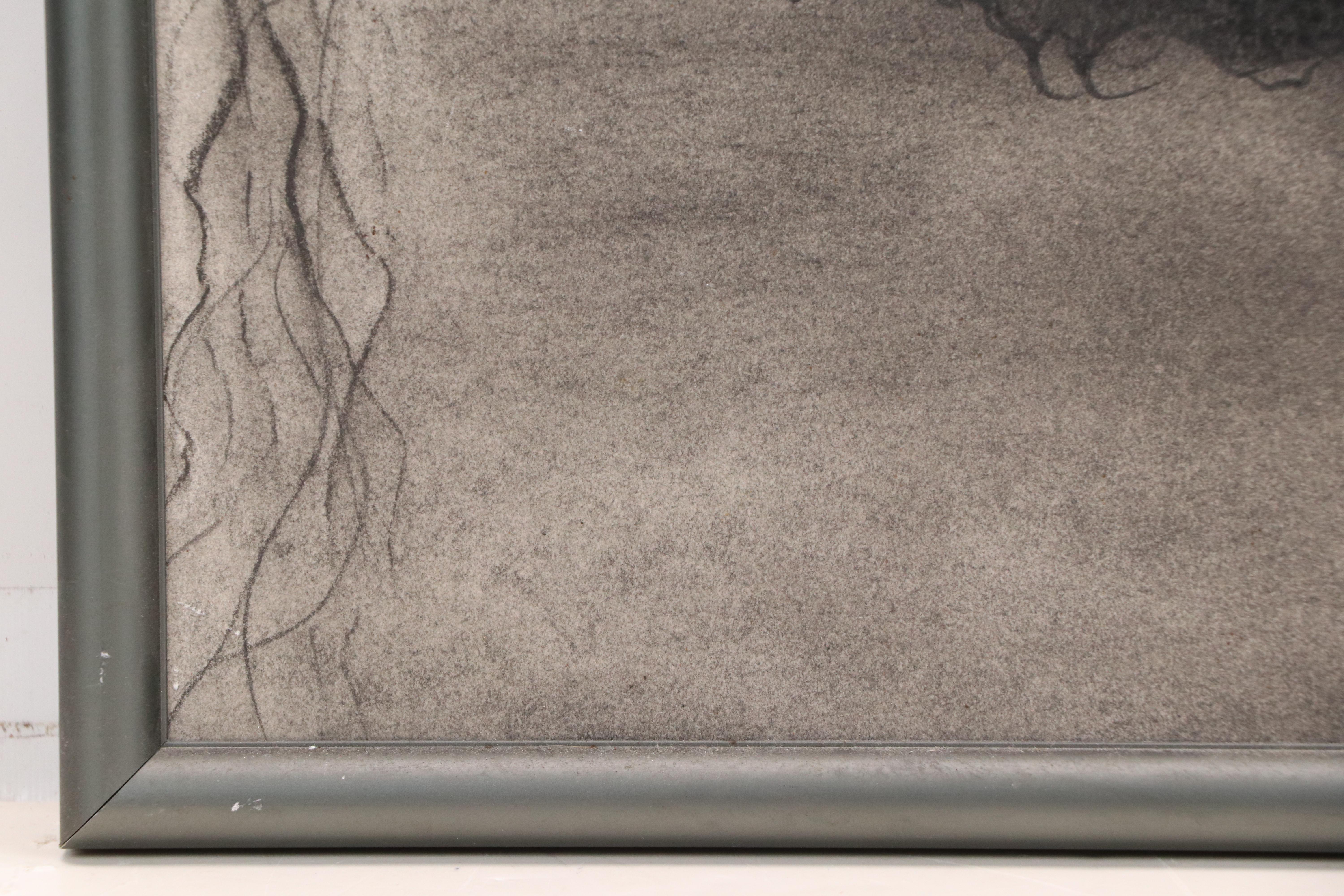 Floral Charcoal Drawings, Late 20th or 21st Century