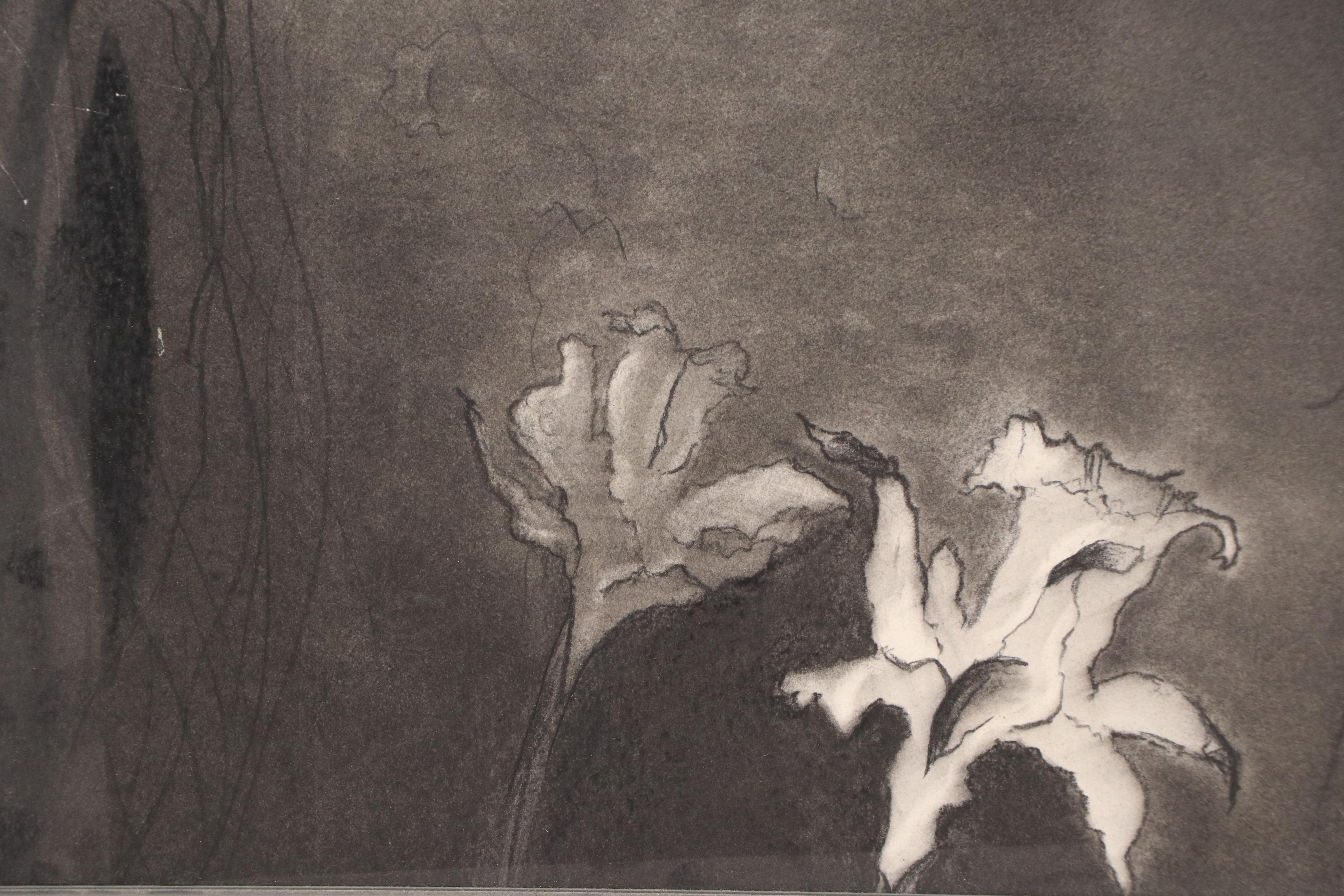 Floral Charcoal Drawings, Late 20th or 21st Century
