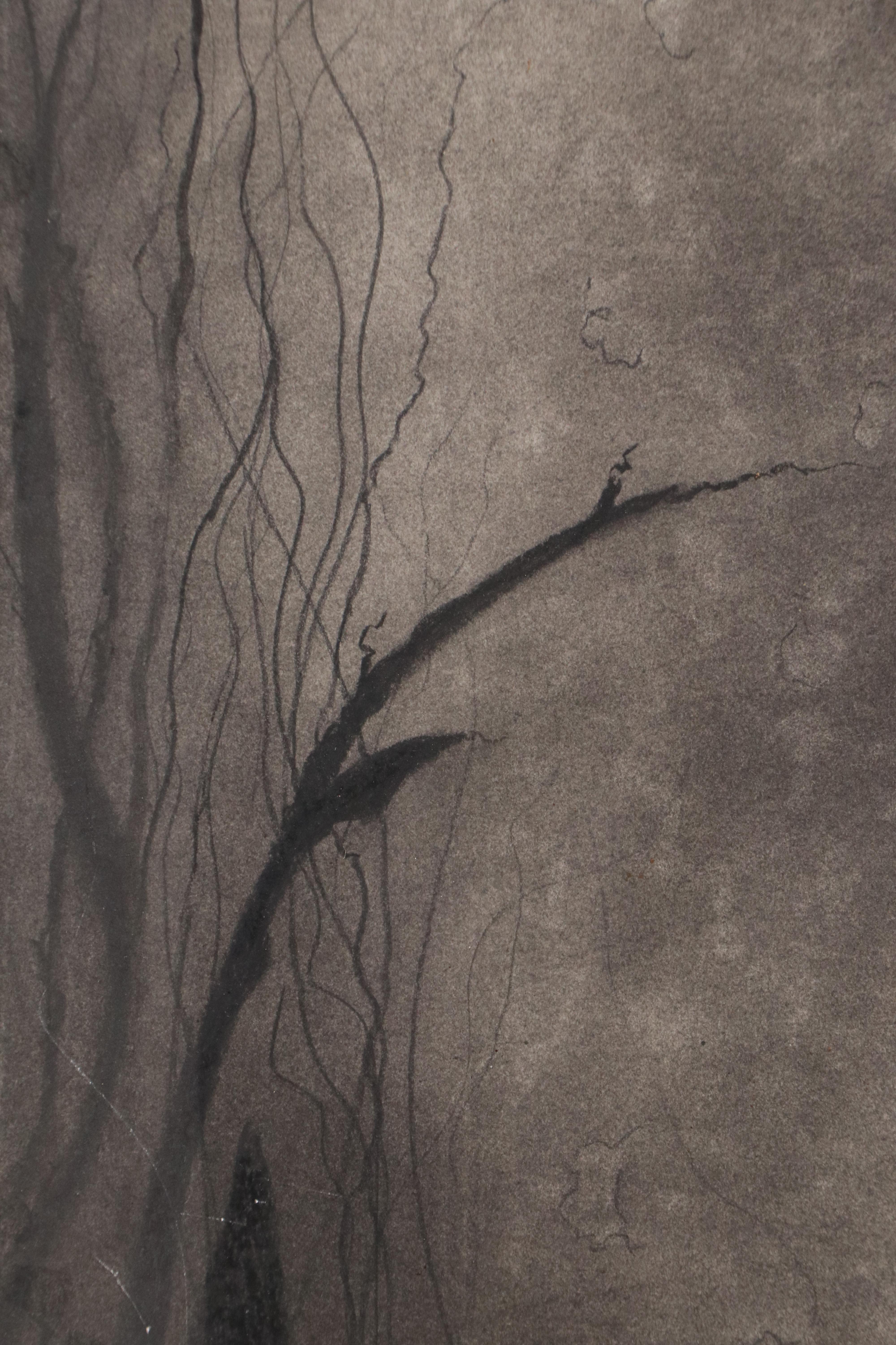 Floral Charcoal Drawings, Late 20th or 21st Century