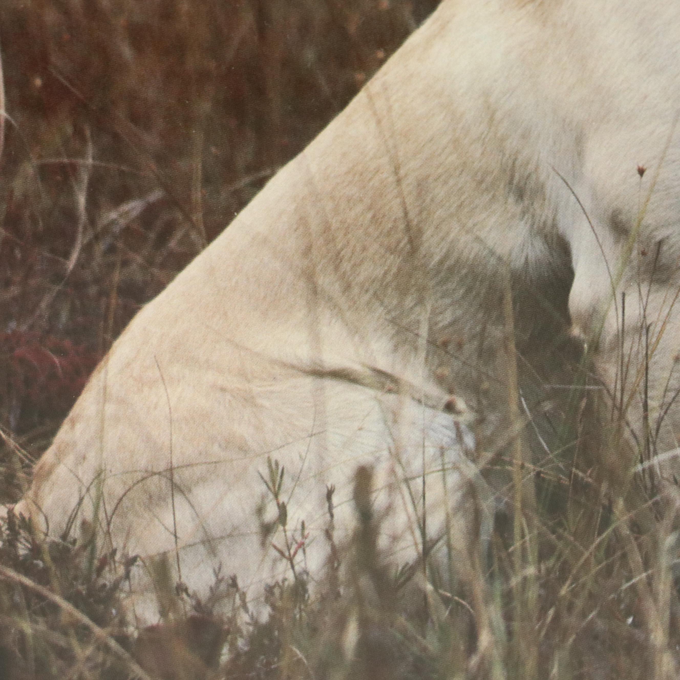 Canine-Themed Offset Lithographs of Yellow Lab and Wolf