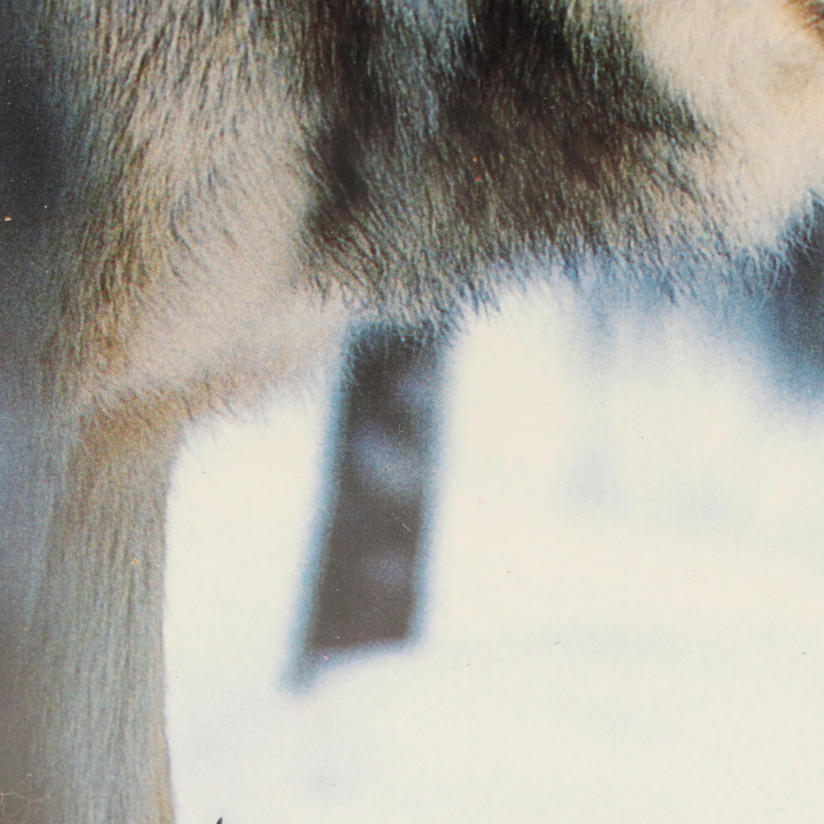 Canine-Themed Offset Lithographs of Yellow Lab and Wolf