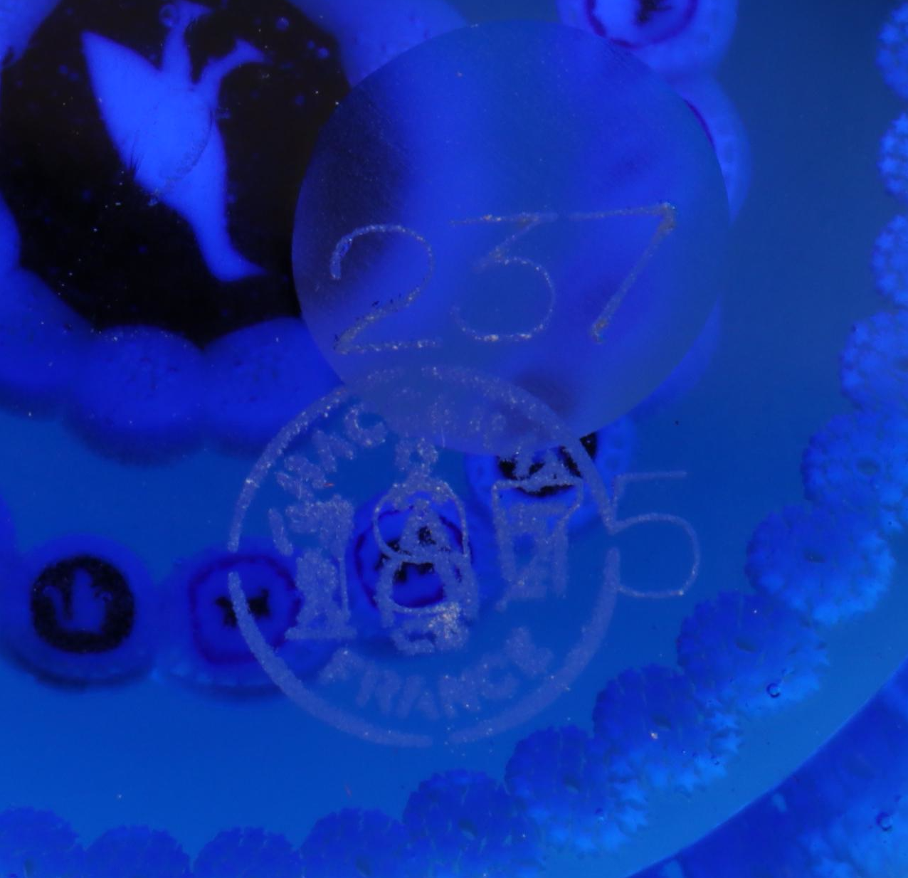 Baccarat Limited Edition Gridel Series Pheasant Glass Paperweight, 1975