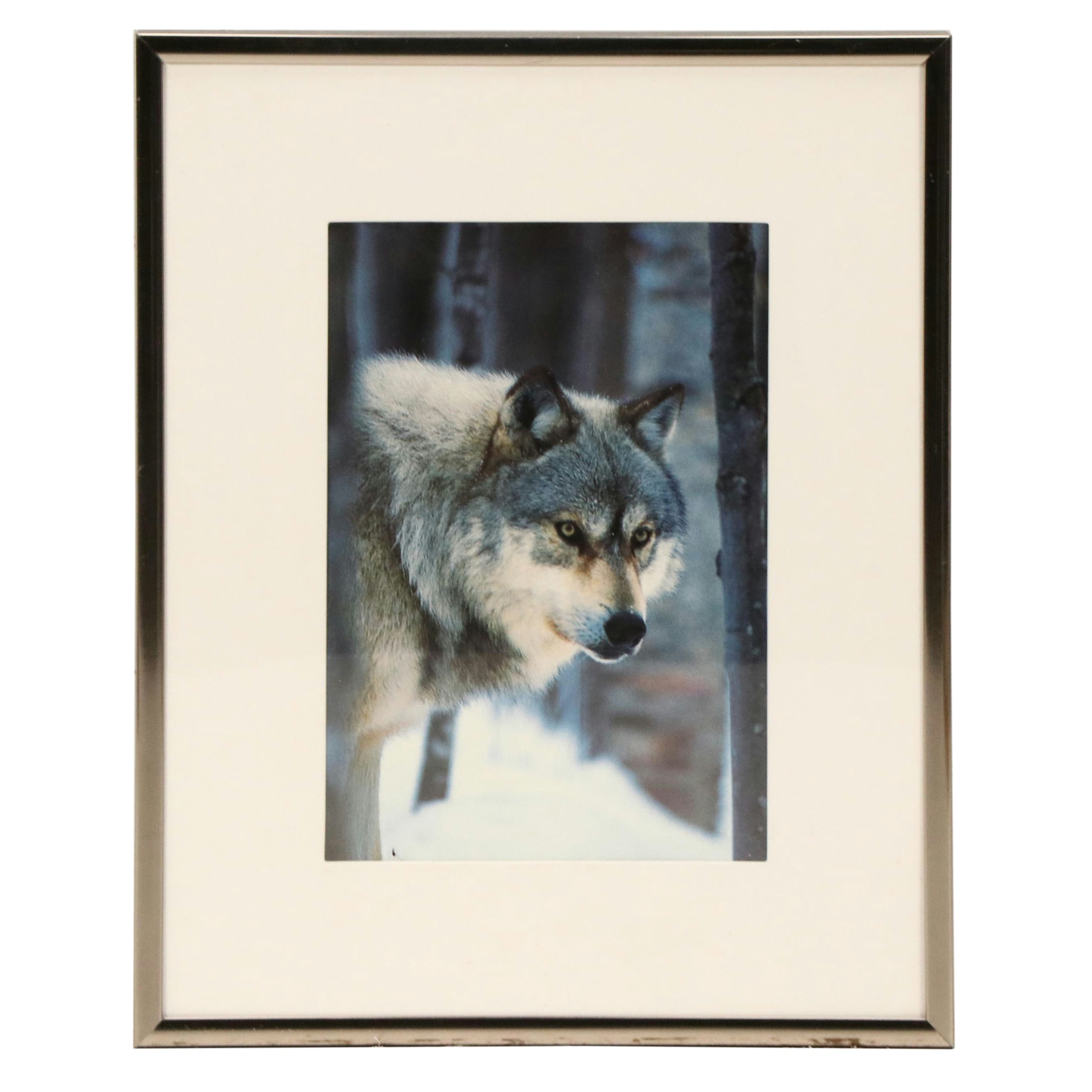 Canine-Themed Offset Lithographs of Yellow Lab and Wolf