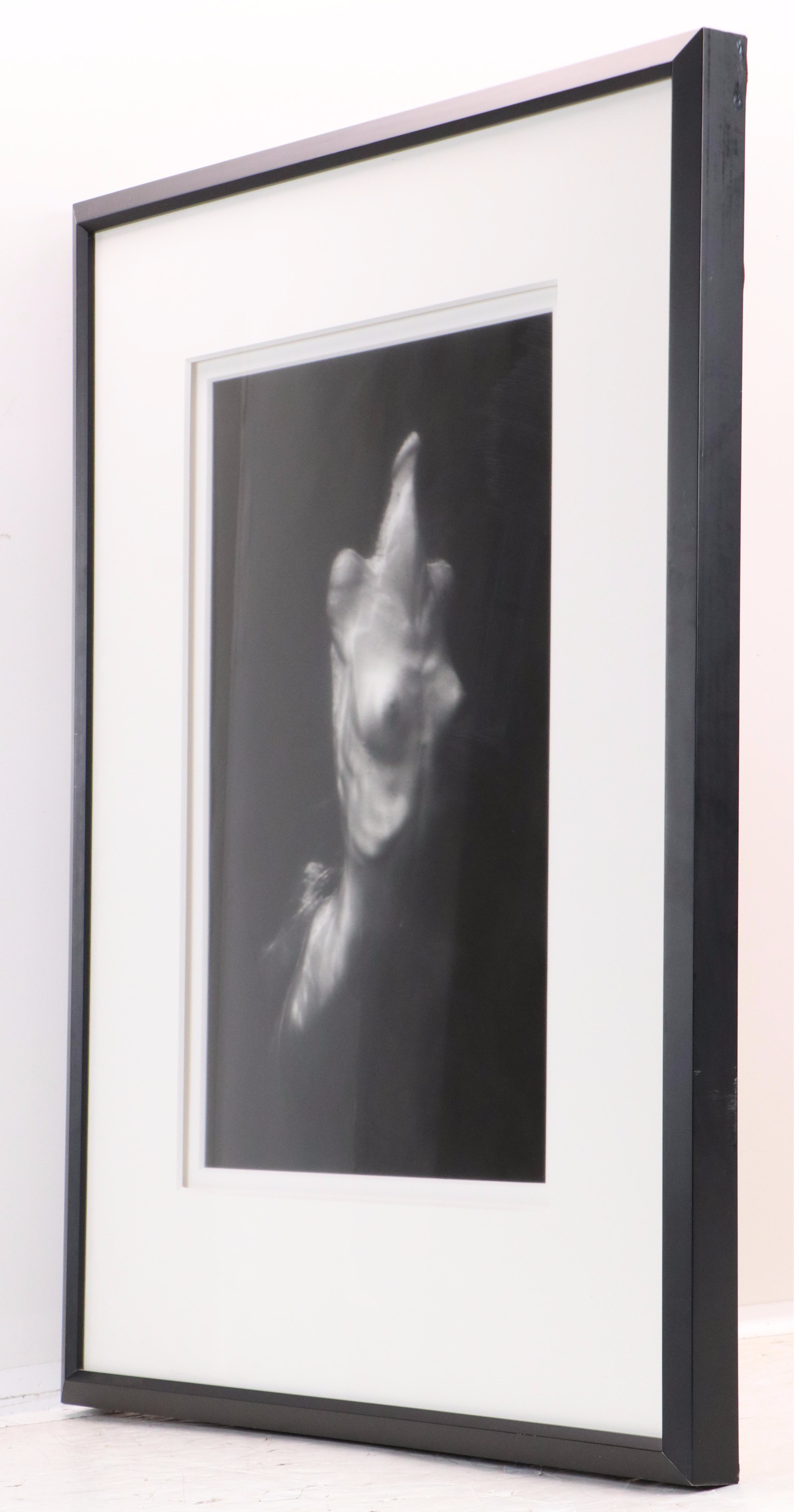 Connie Imboden Silver Gelatin Print of Modified Female Torso "#5802"