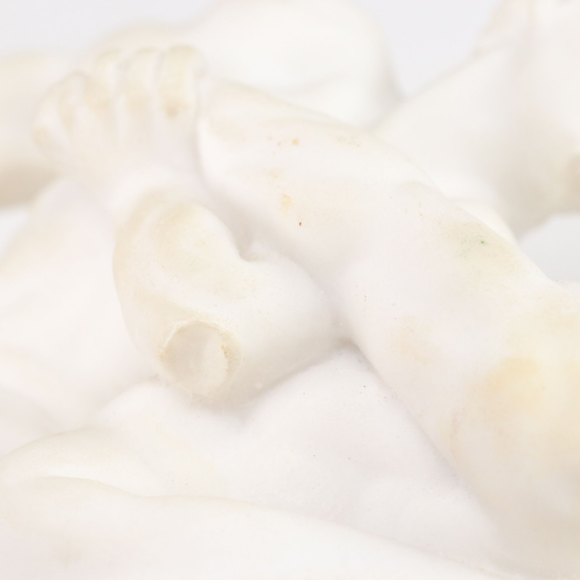 Greek "The Wrestlers" Marble Replica Statue with Modern Italian Ceramic Goblets