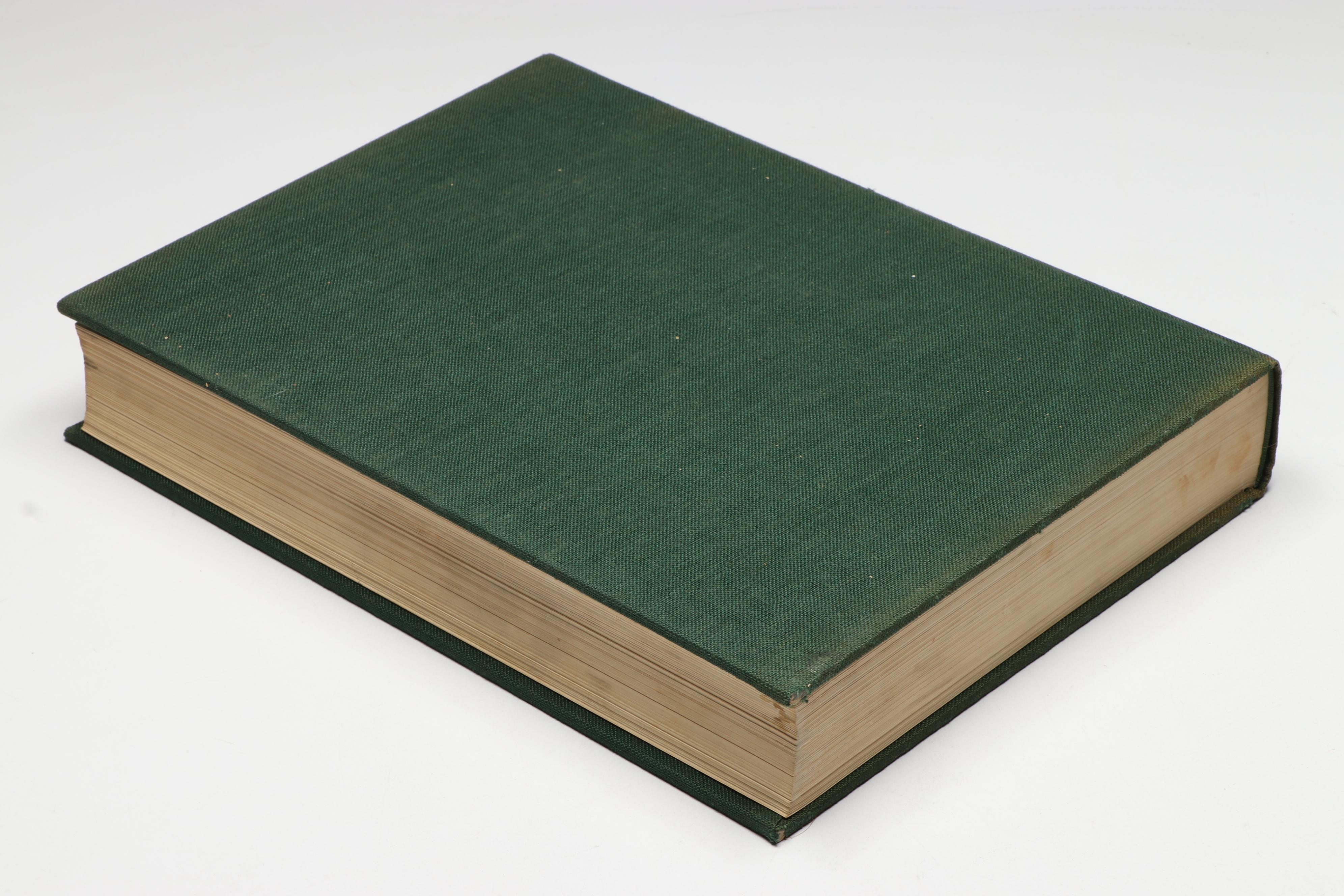 First Edition "Michelangelo the Painter" by Valerio Mariani, 1964