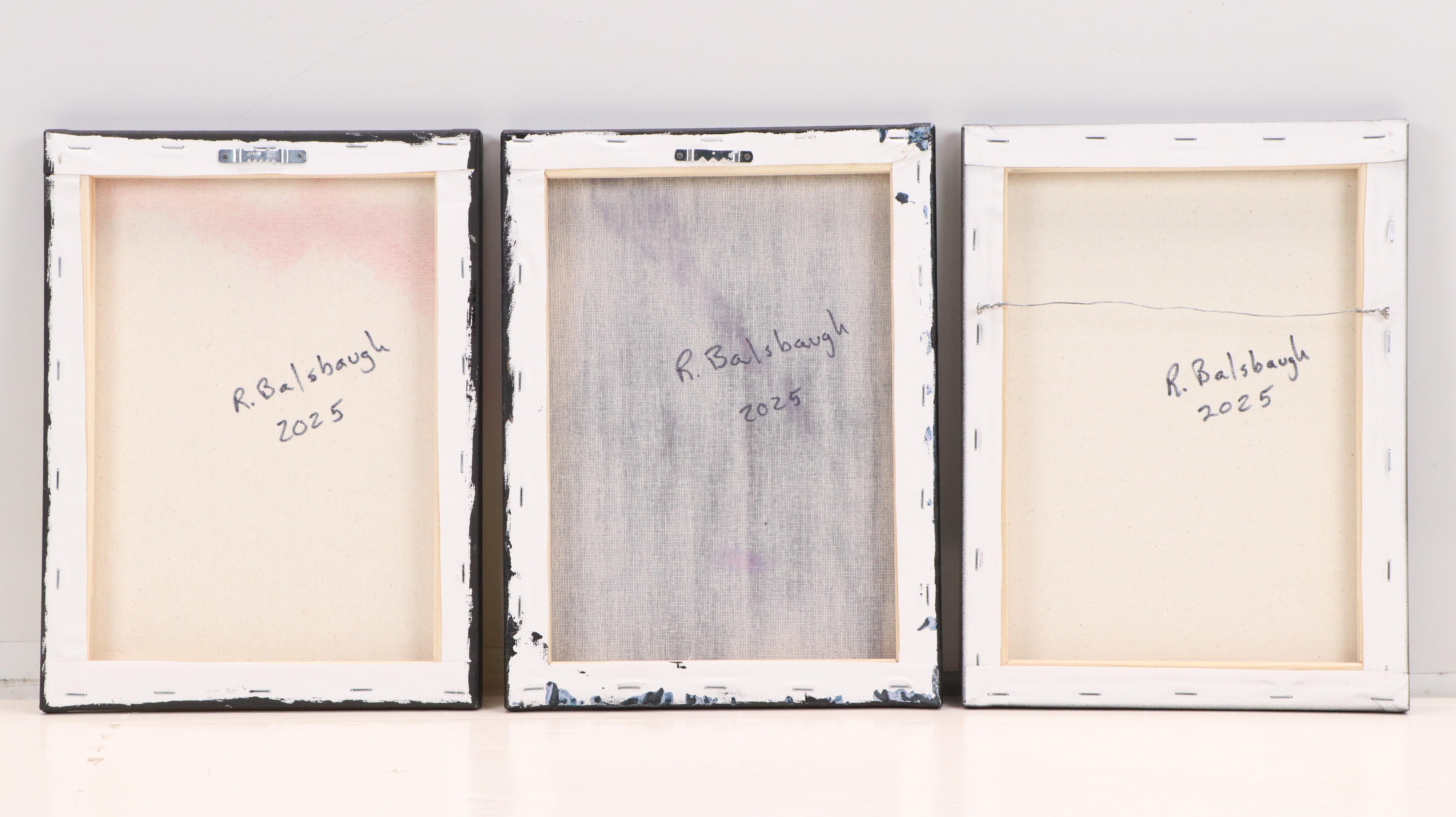 R. Balsbaugh Stylized Acrylic Paintings of Campfire and More, 2025