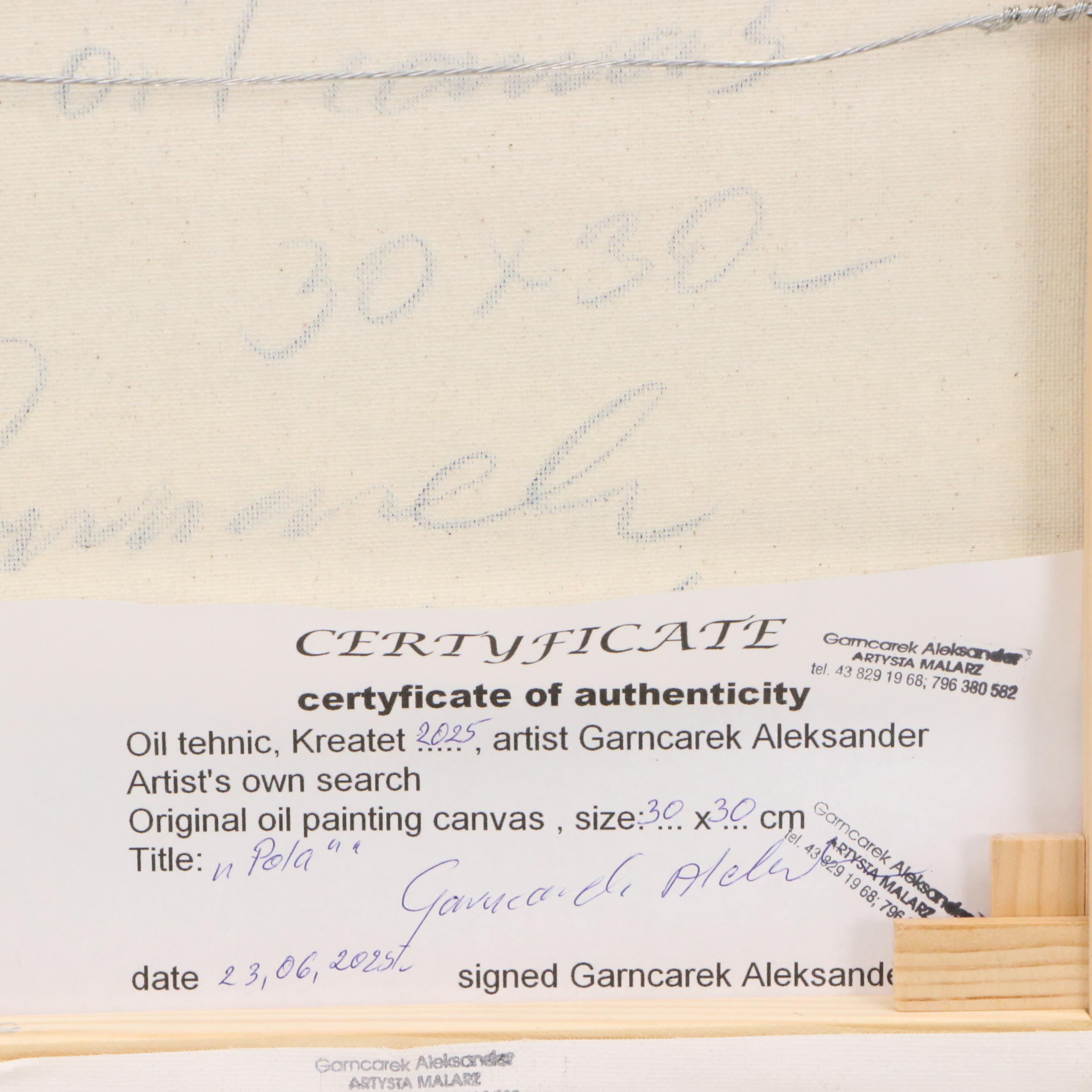 Garncarek Aleksander Landscape Oil Painting "Pola," 2025