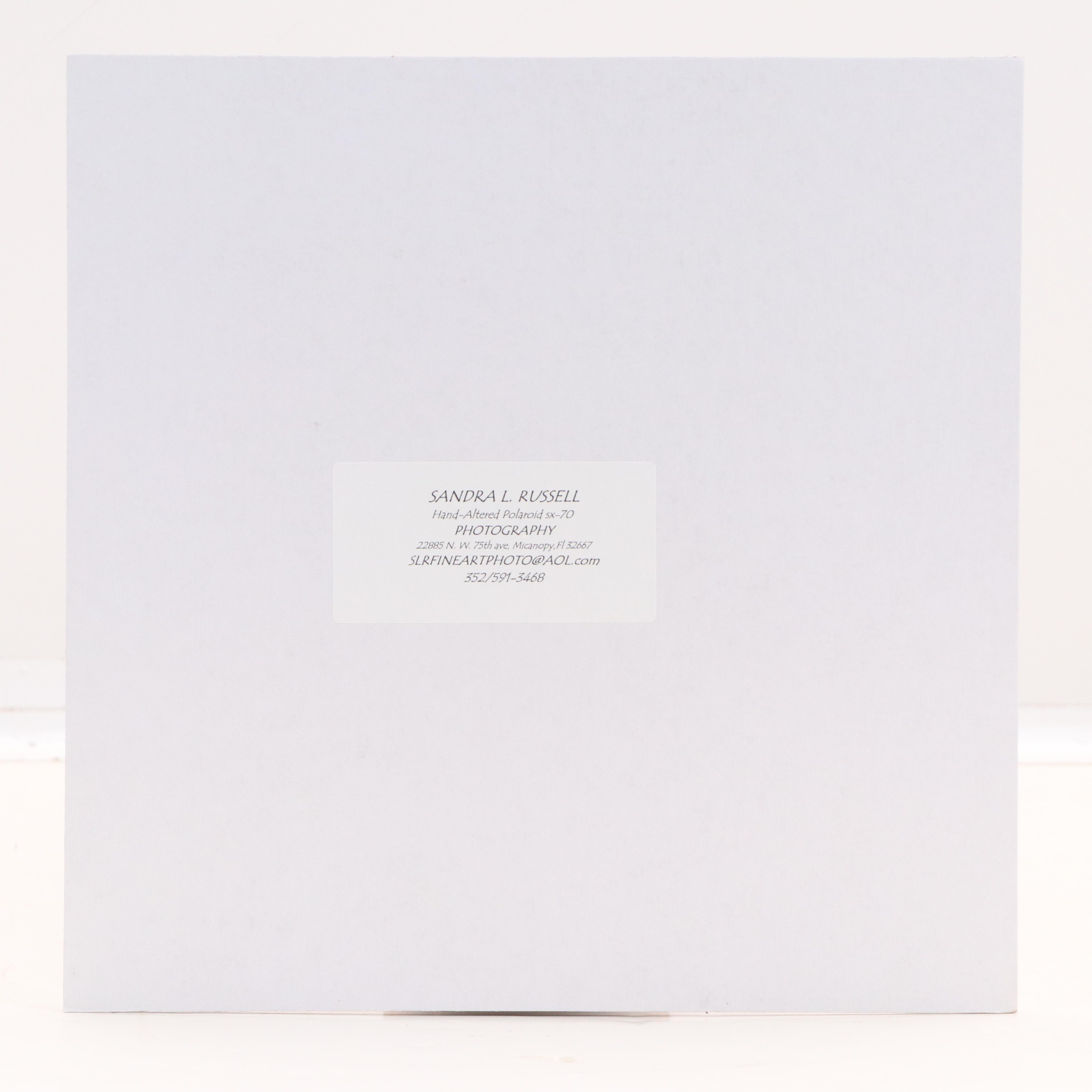 Sandra L. Russell Digital Print of Fruit Still Life "Nature's Gifts," 21st C.