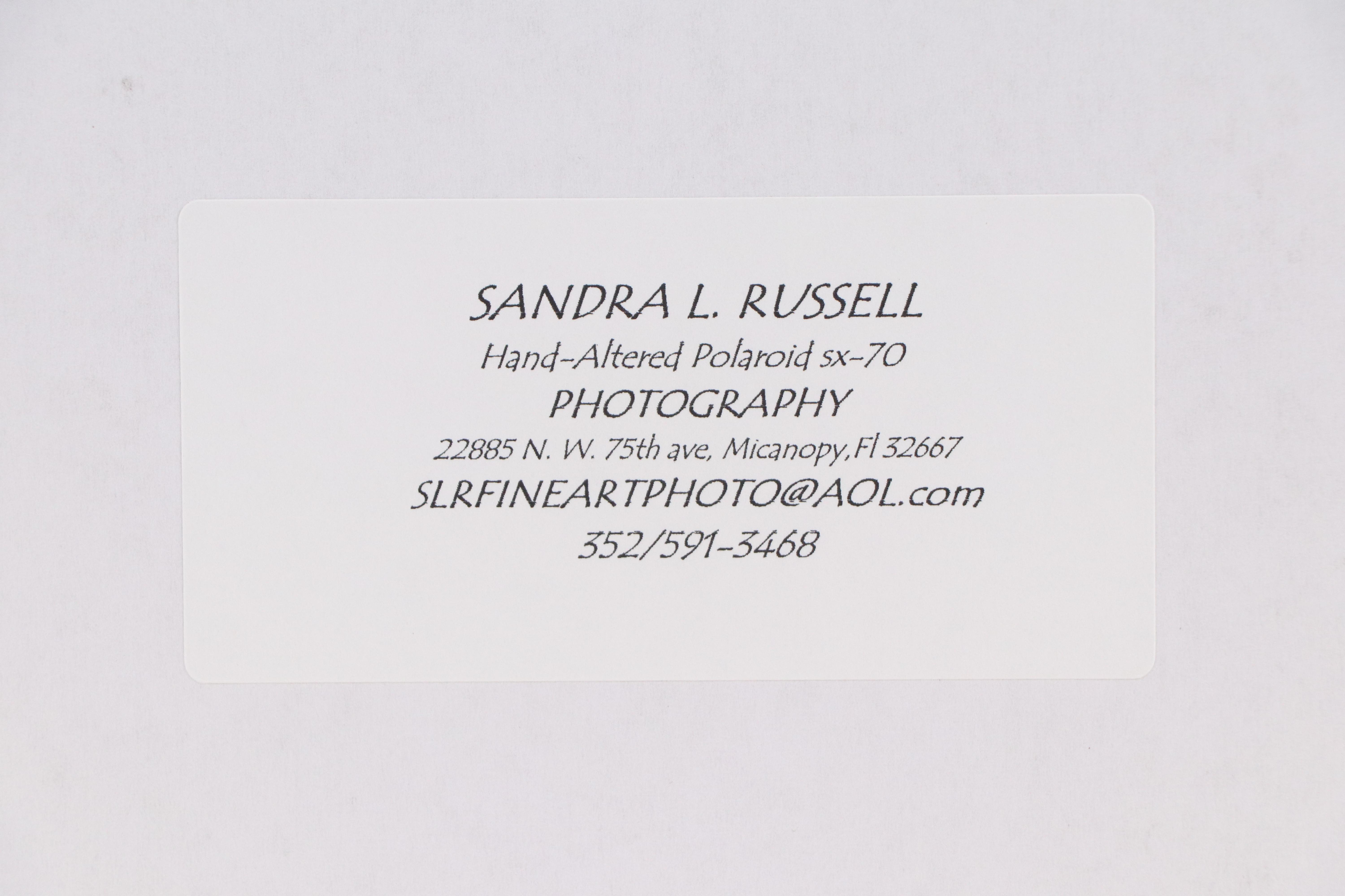 Sandra L. Russell Digital Print of Fruit Still Life "Nature's Gifts," 21st C.