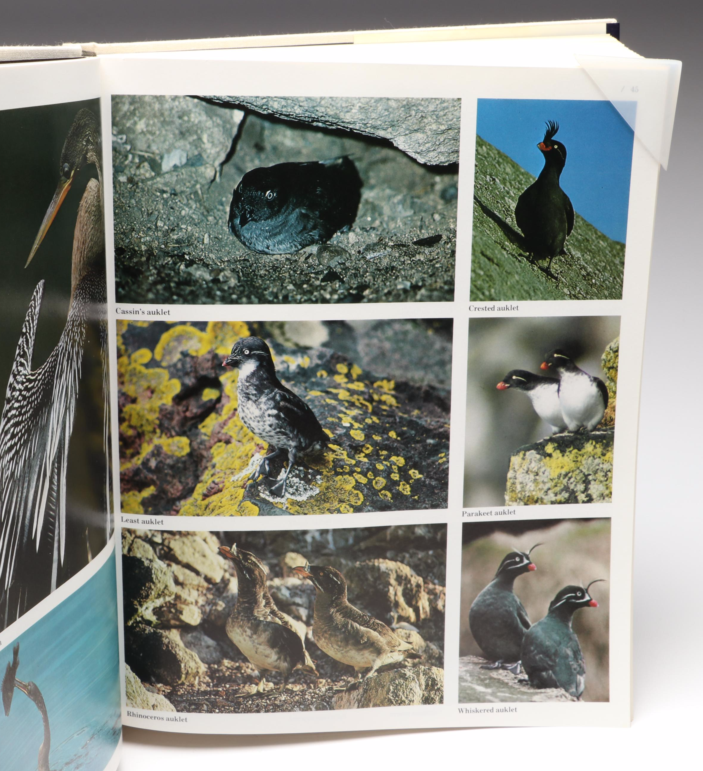 First Edition "The Audubon Society Encyclopedia of North American Birds," 1980