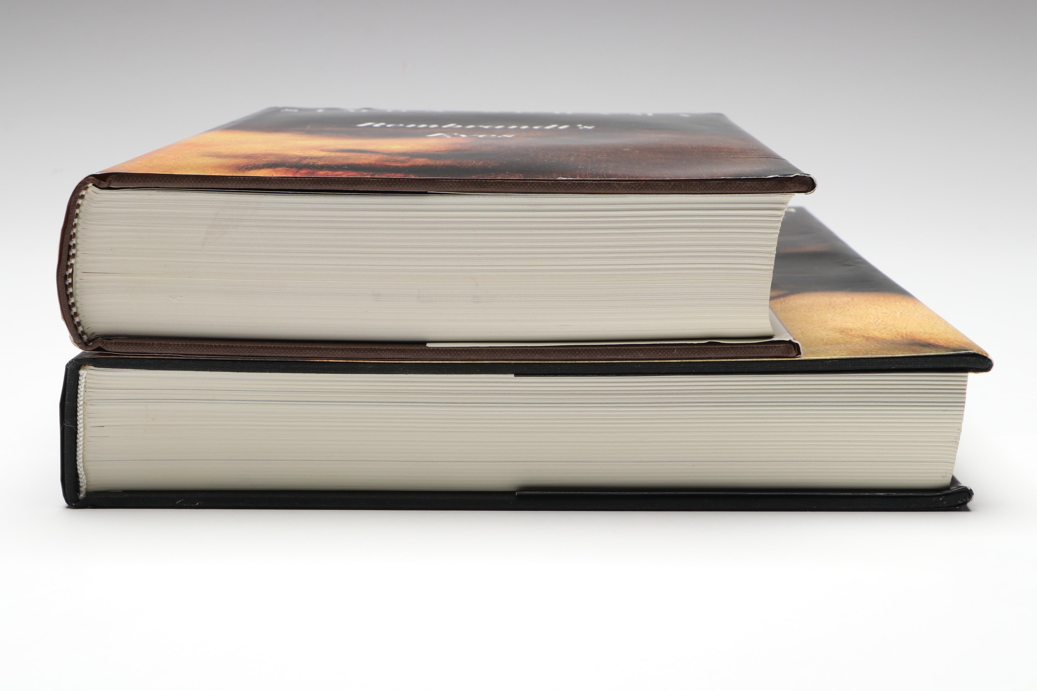 "Rembrandt" by Christian Tümpel with "Rembrandt's Eyes" by Simon Schama