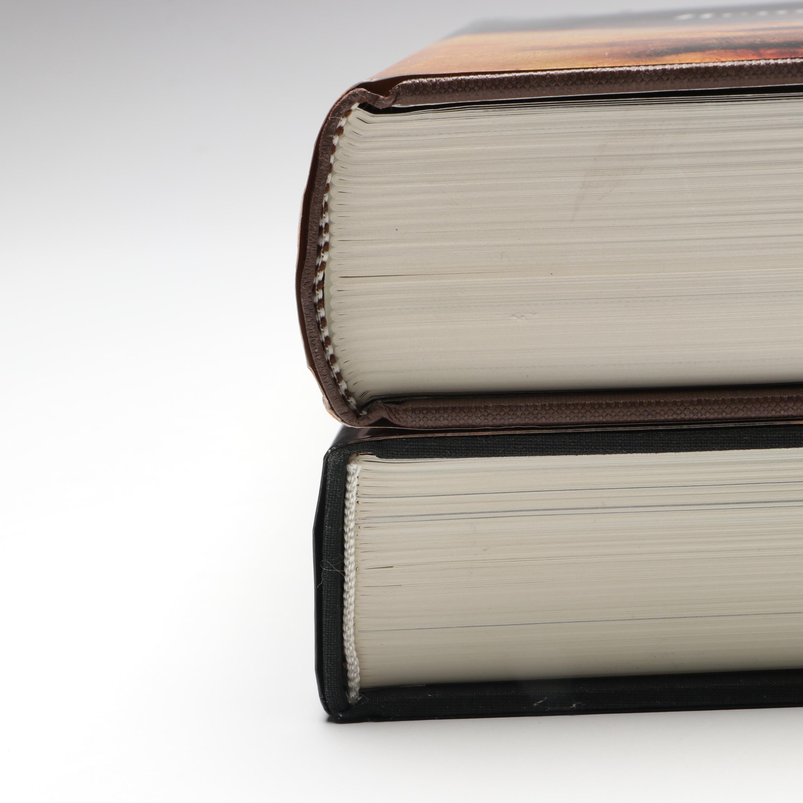 "Rembrandt" by Christian Tümpel with "Rembrandt's Eyes" by Simon Schama