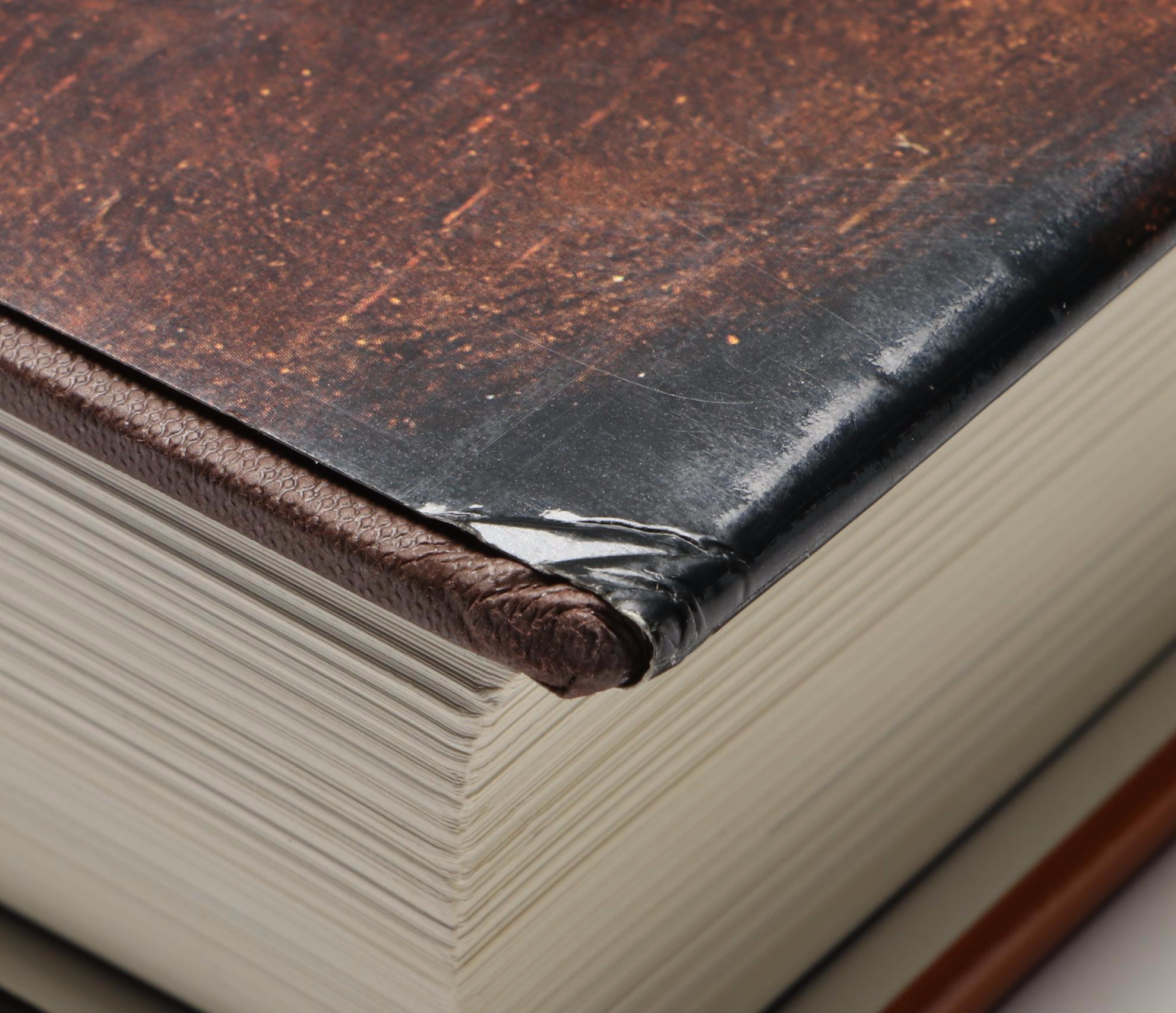 "Rembrandt" by Christian Tümpel with "Rembrandt's Eyes" by Simon Schama