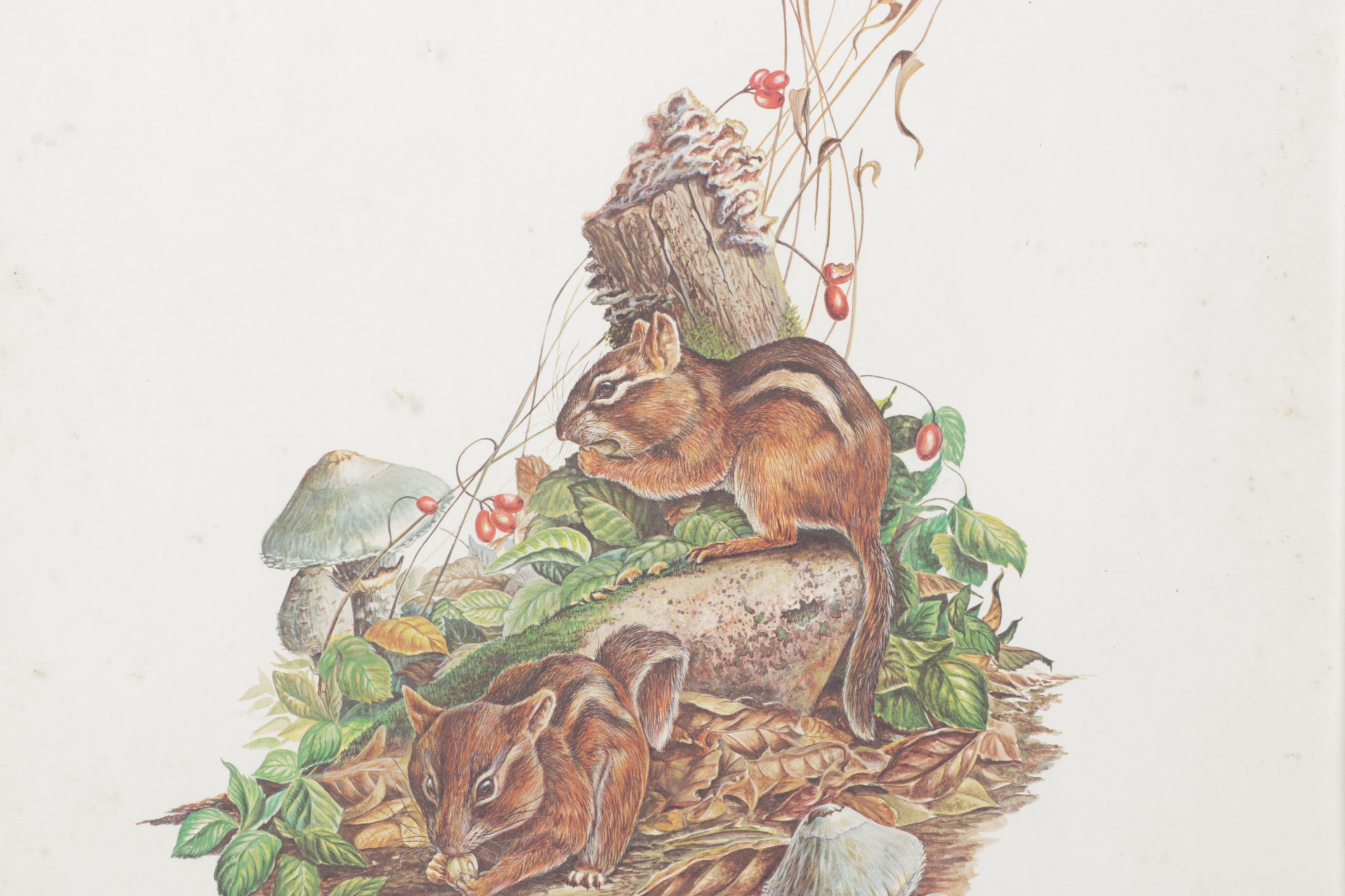 W.D. Gaither Offset Lithograph "Chipmunks"