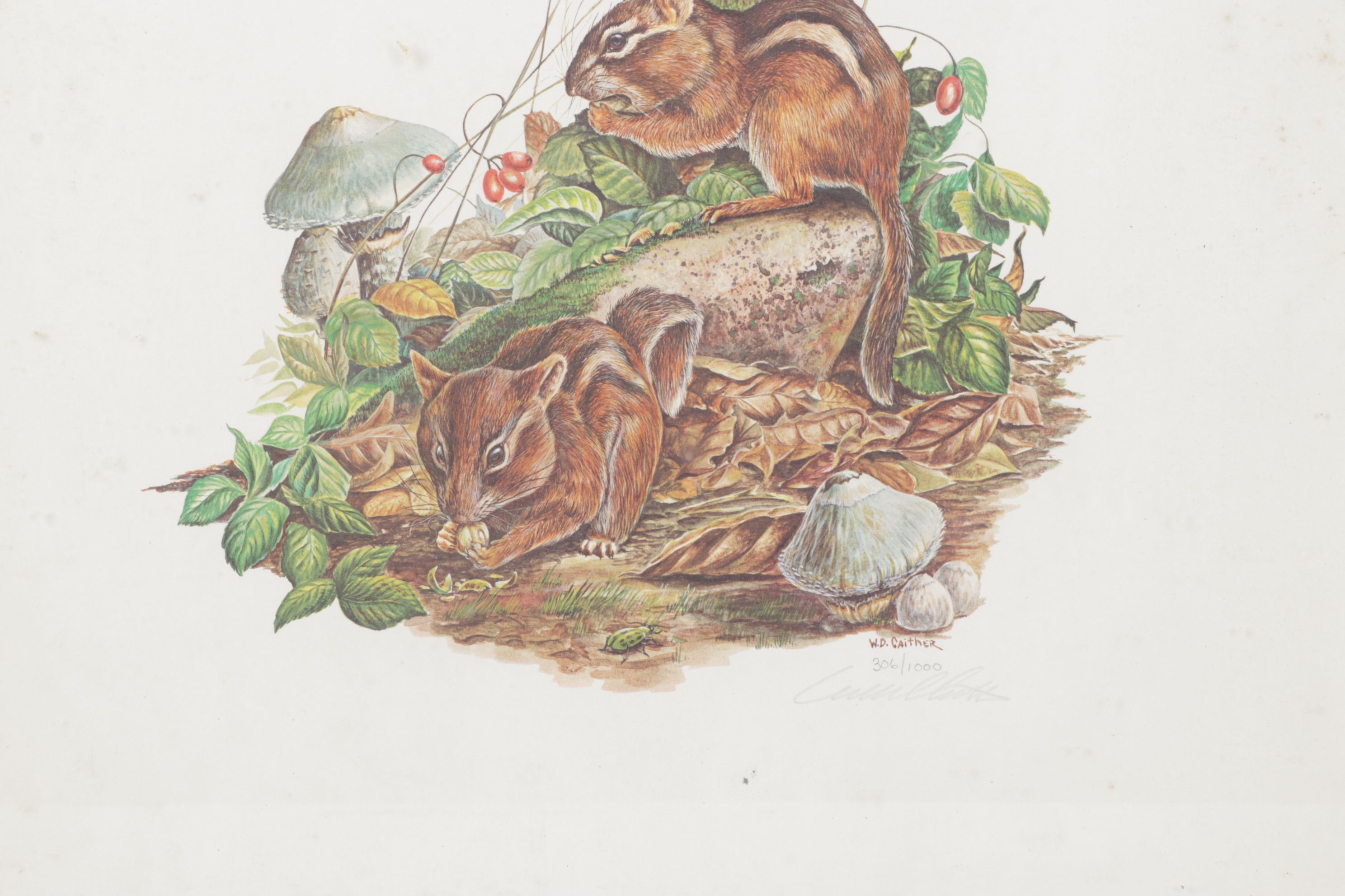 W.D. Gaither Offset Lithograph "Chipmunks"
