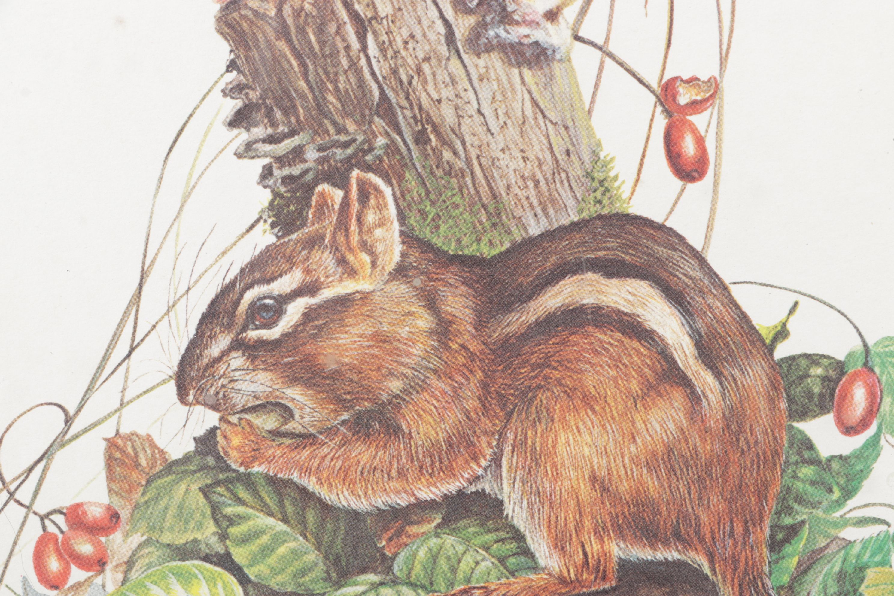 W.D. Gaither Offset Lithograph "Chipmunks"