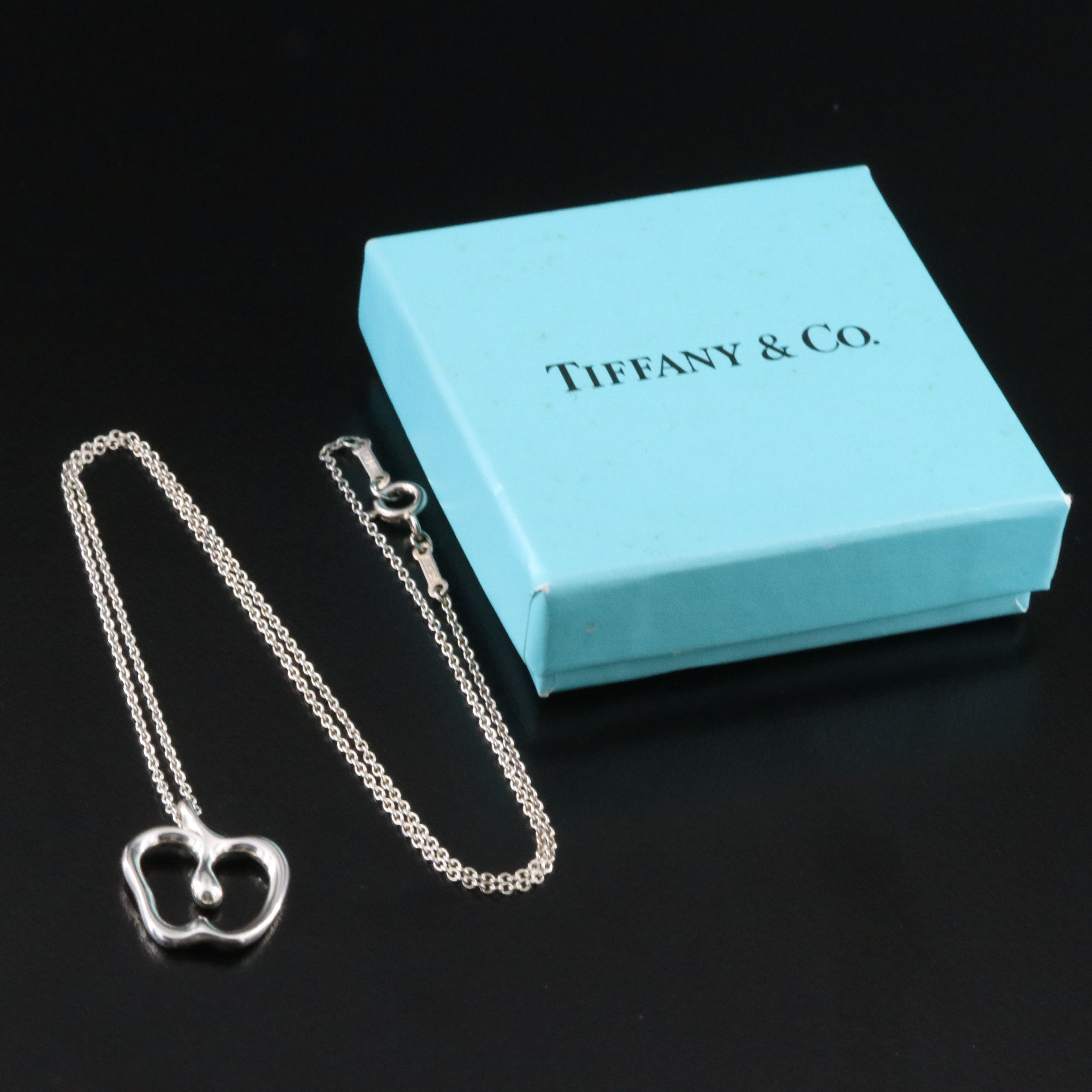 Elsa Peretti for Tiffany & Co. Sterling Apple Necklace