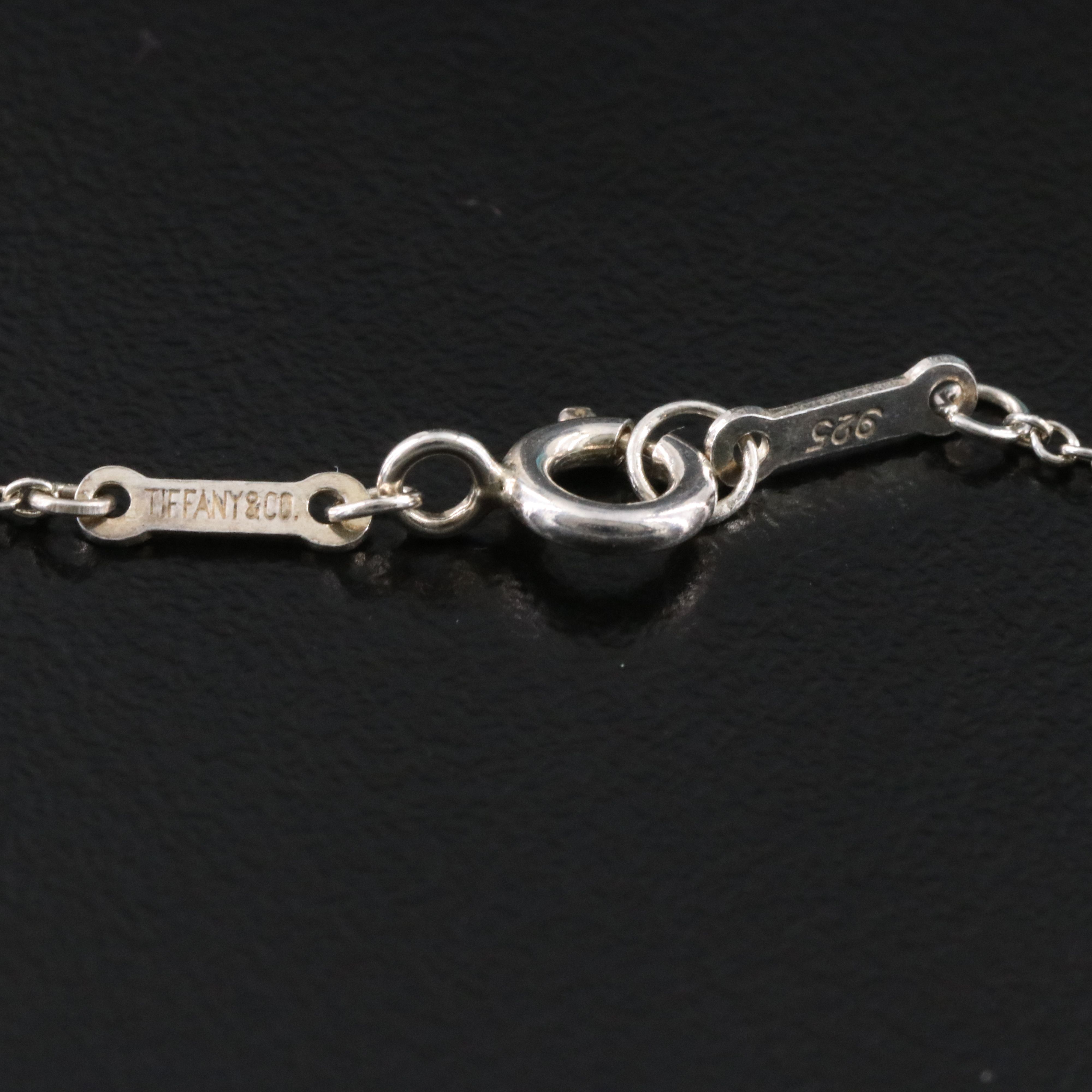 Elsa Peretti for Tiffany & Co. Sterling Apple Necklace