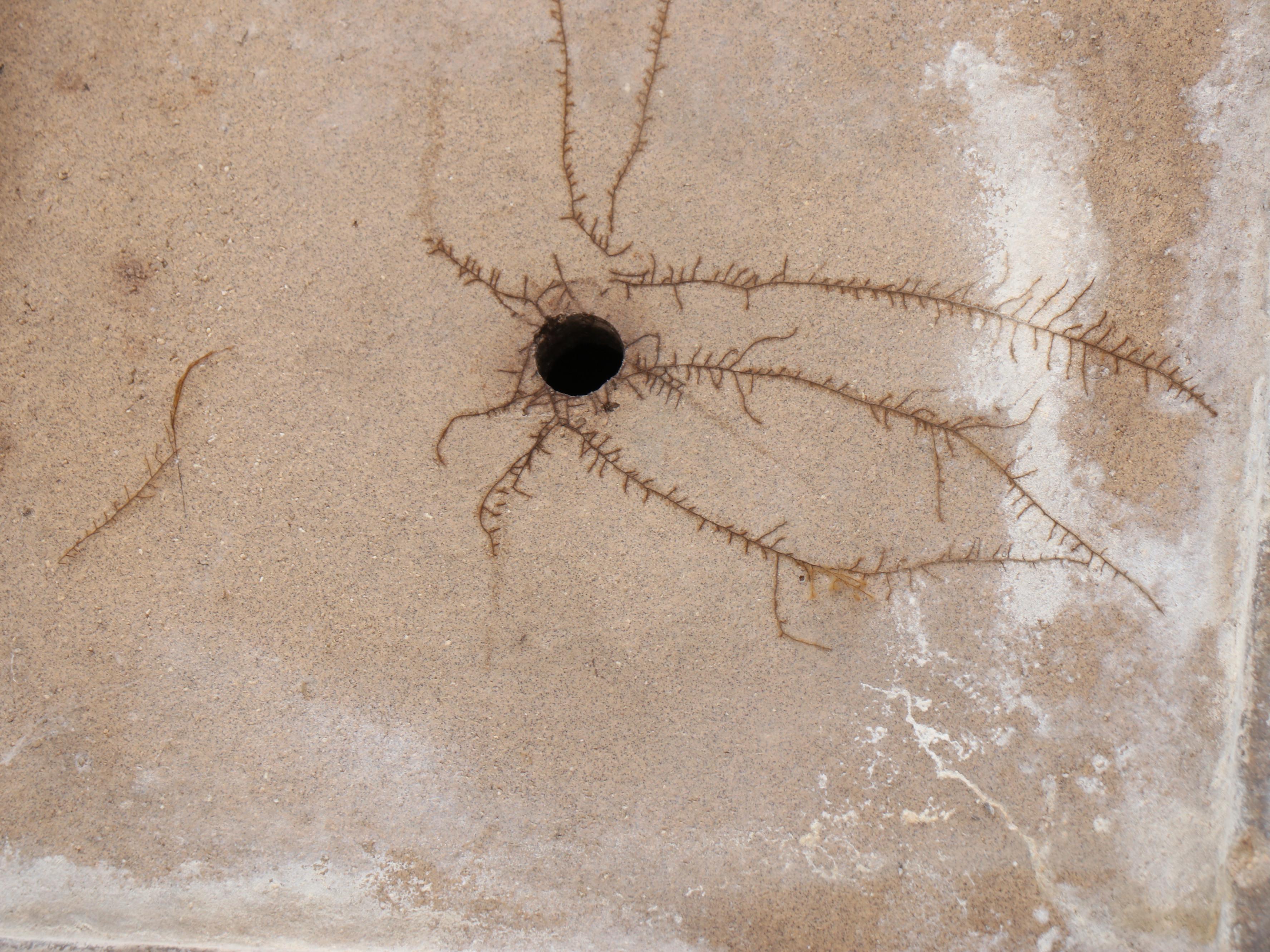 Rookwood Pottery Majolica Drip Glaze Ceramic Elephant Planter