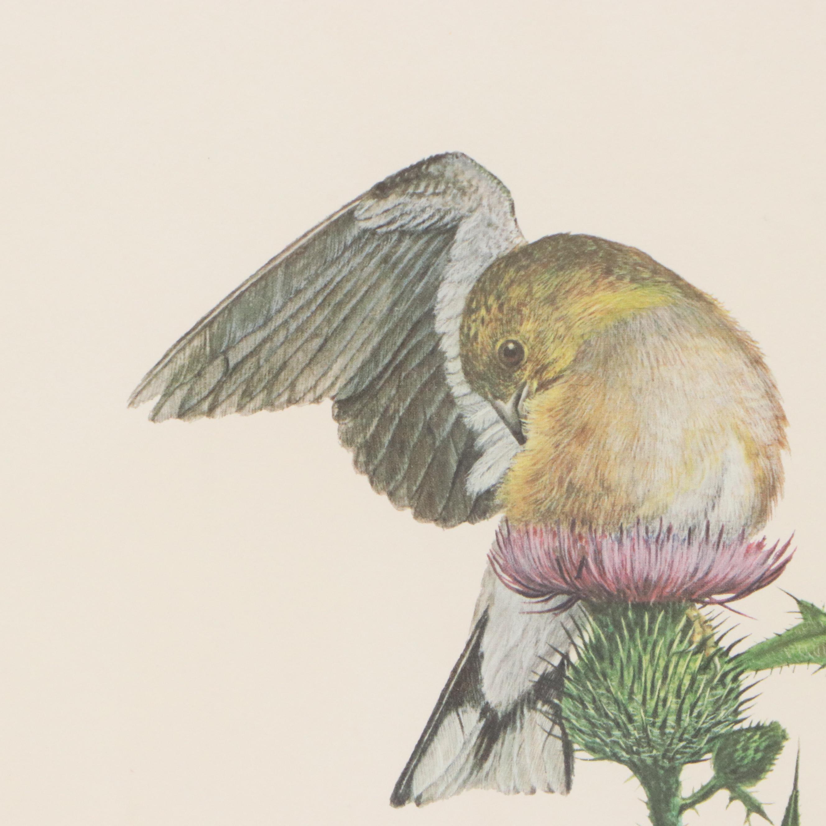 Ray Harm Offset Lithograph "American Goldfinch," Mid to Late 20th Century