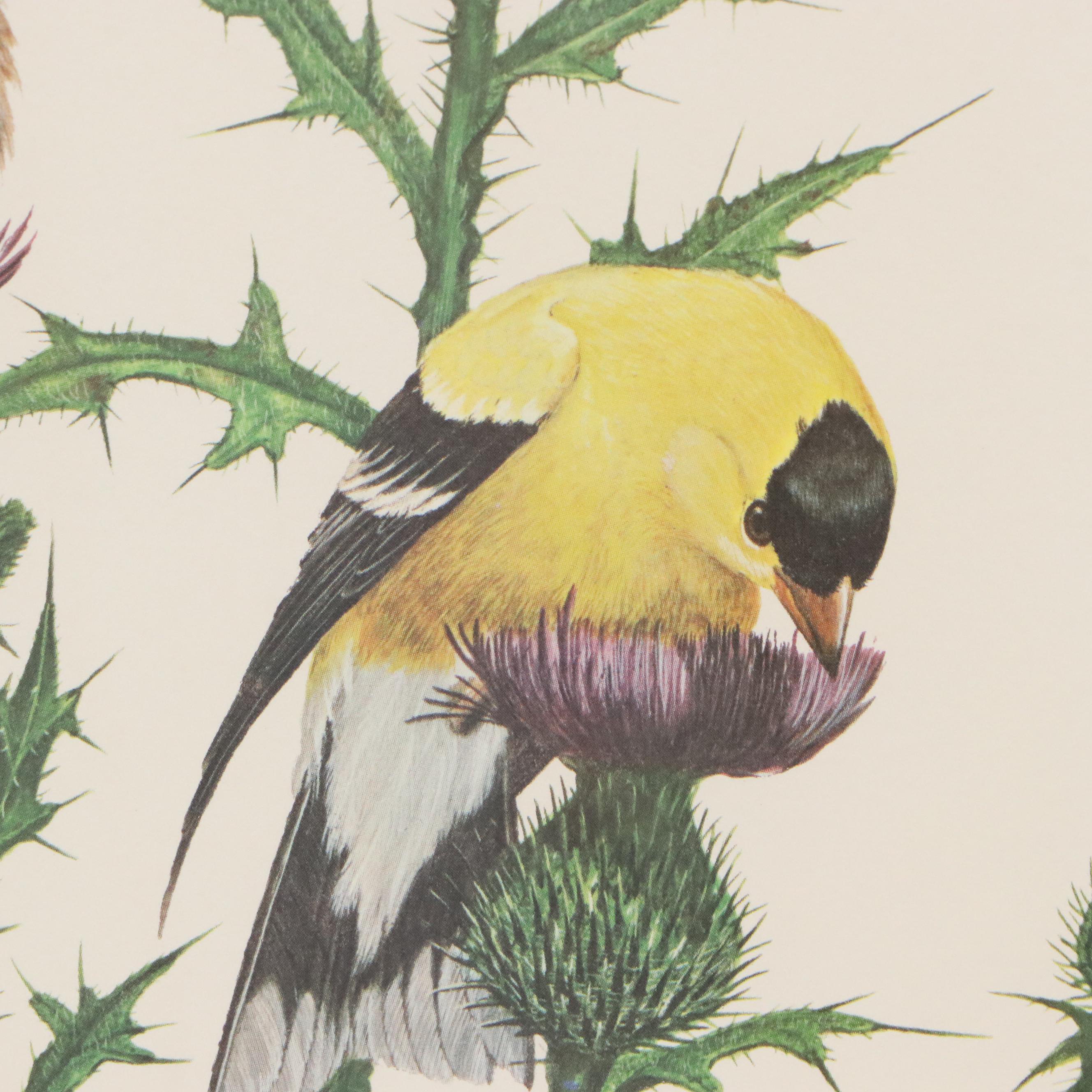 Ray Harm Offset Lithograph "American Goldfinch," Mid to Late 20th Century