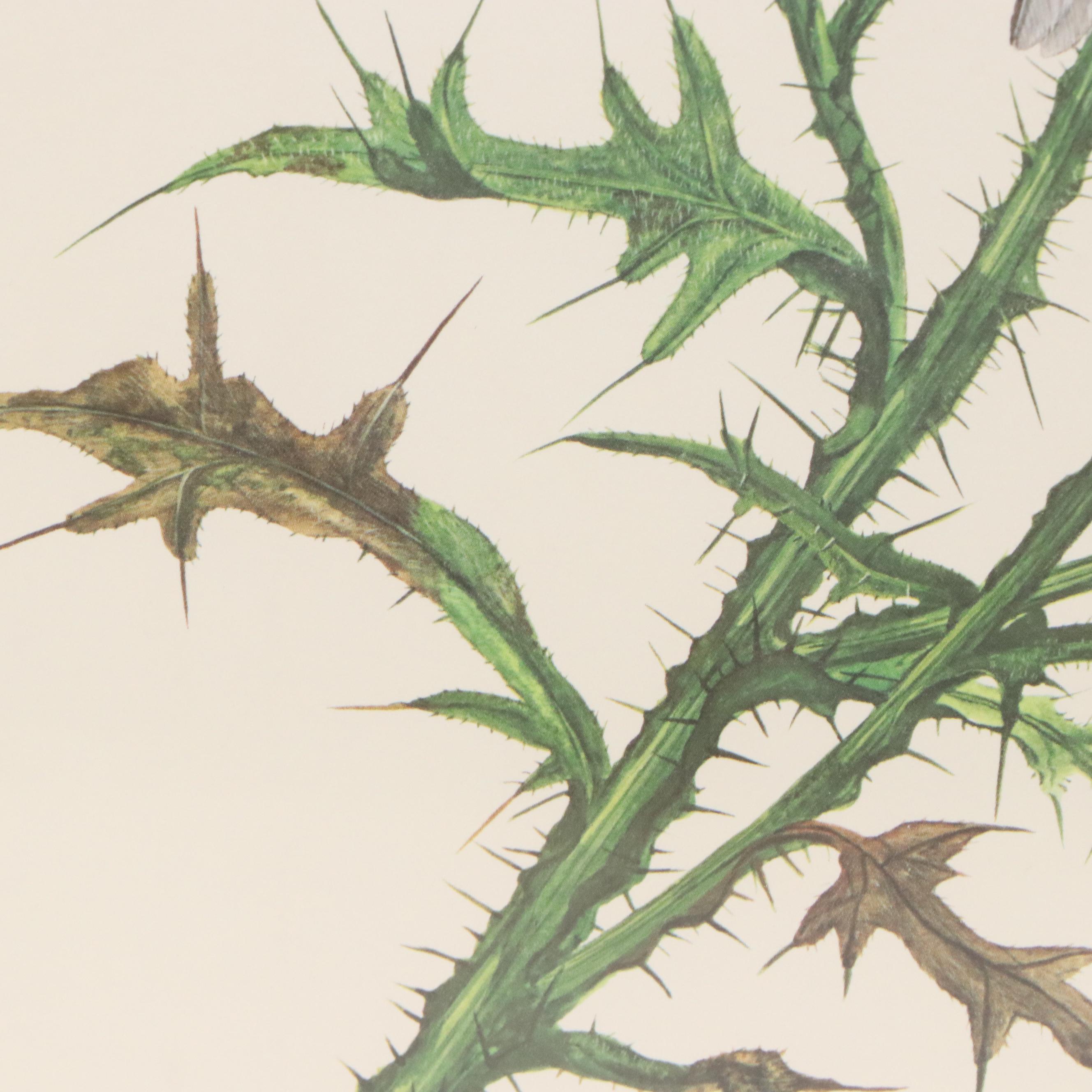 Ray Harm Offset Lithograph "American Goldfinch," Mid to Late 20th Century