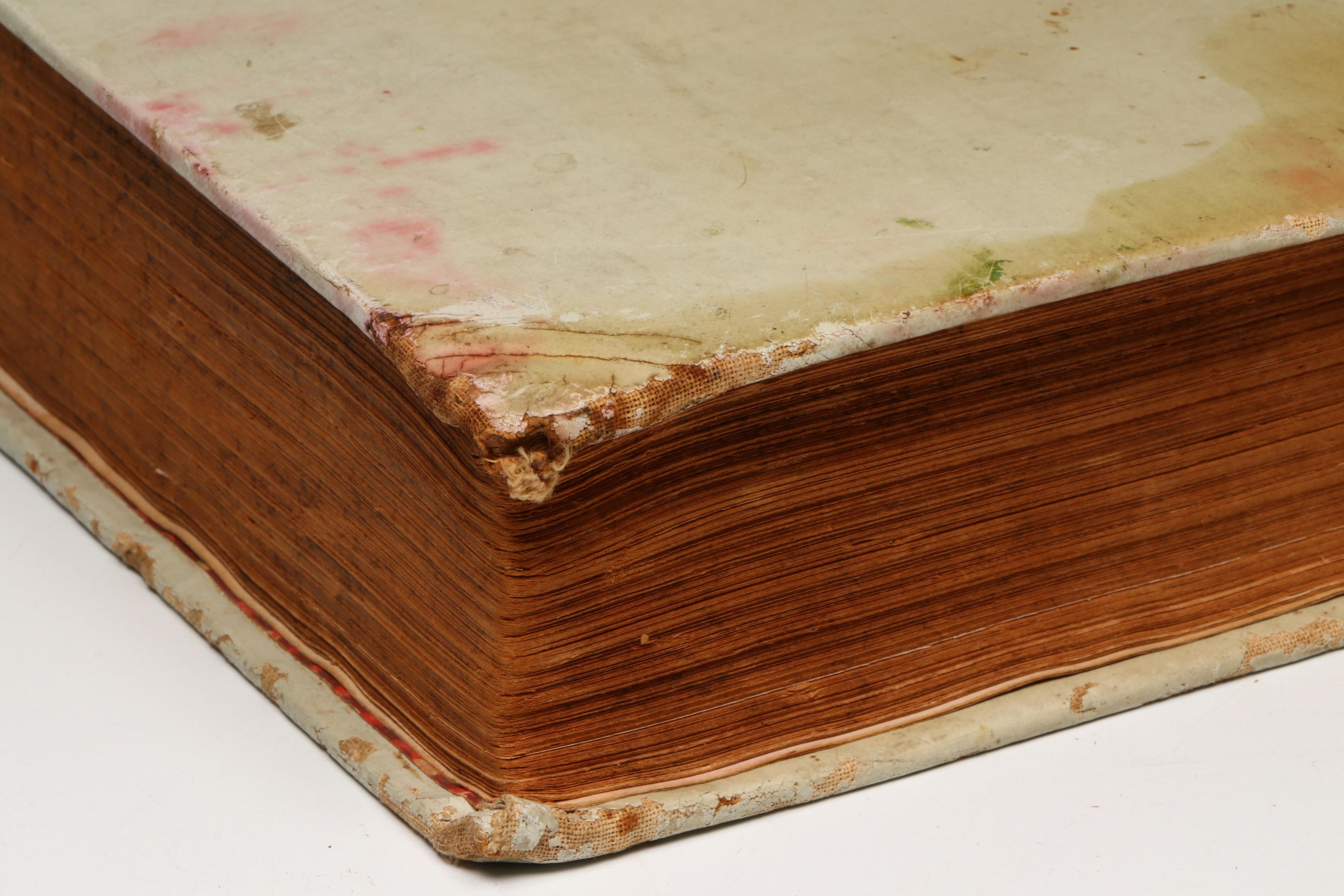 Illustrated "The White House Cook Book" by Hugo Ziemann and Fanny L. Gillette