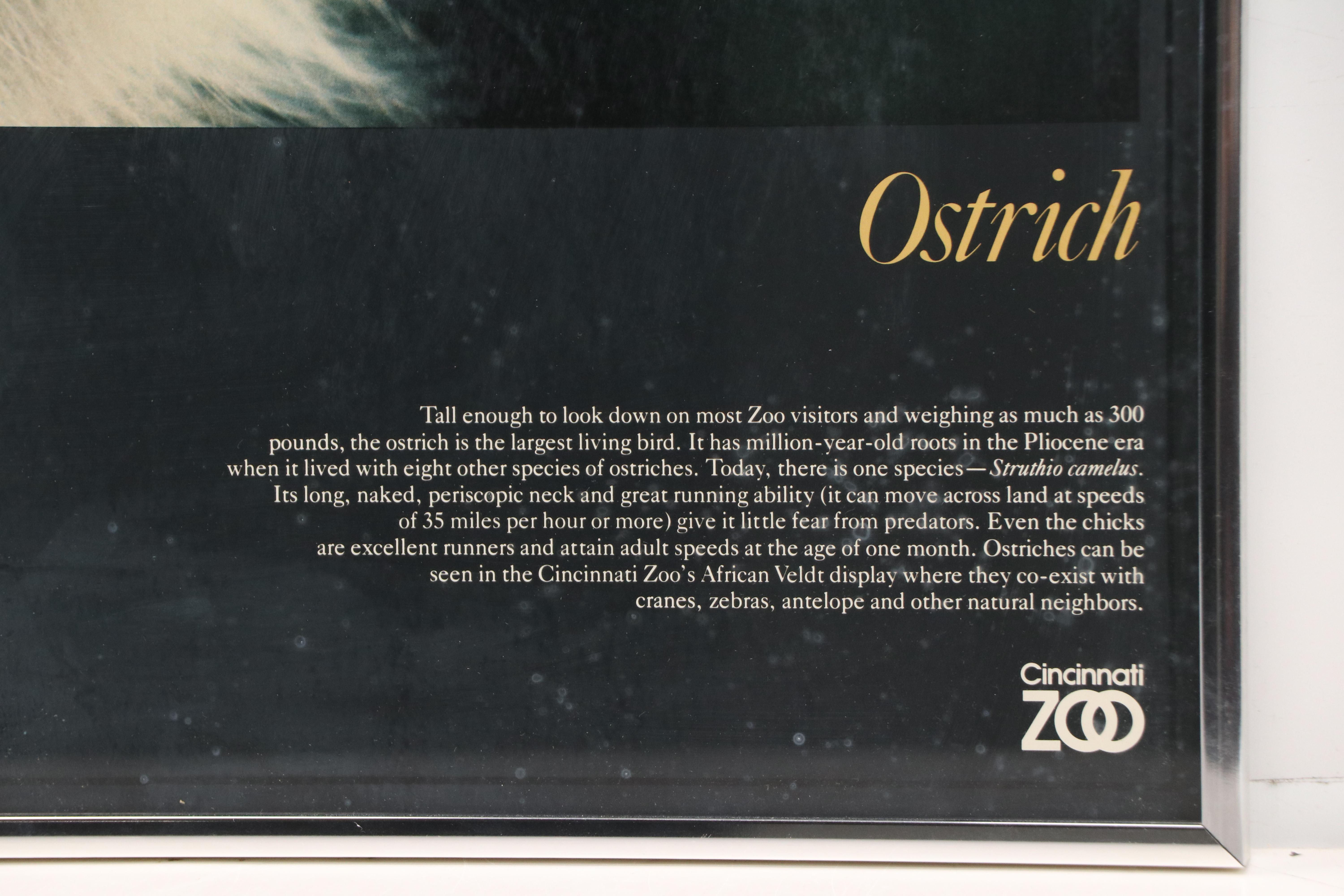 Cincinnati Zoo Posters Depicting Cheetah and Ostrich, Late 20th Century