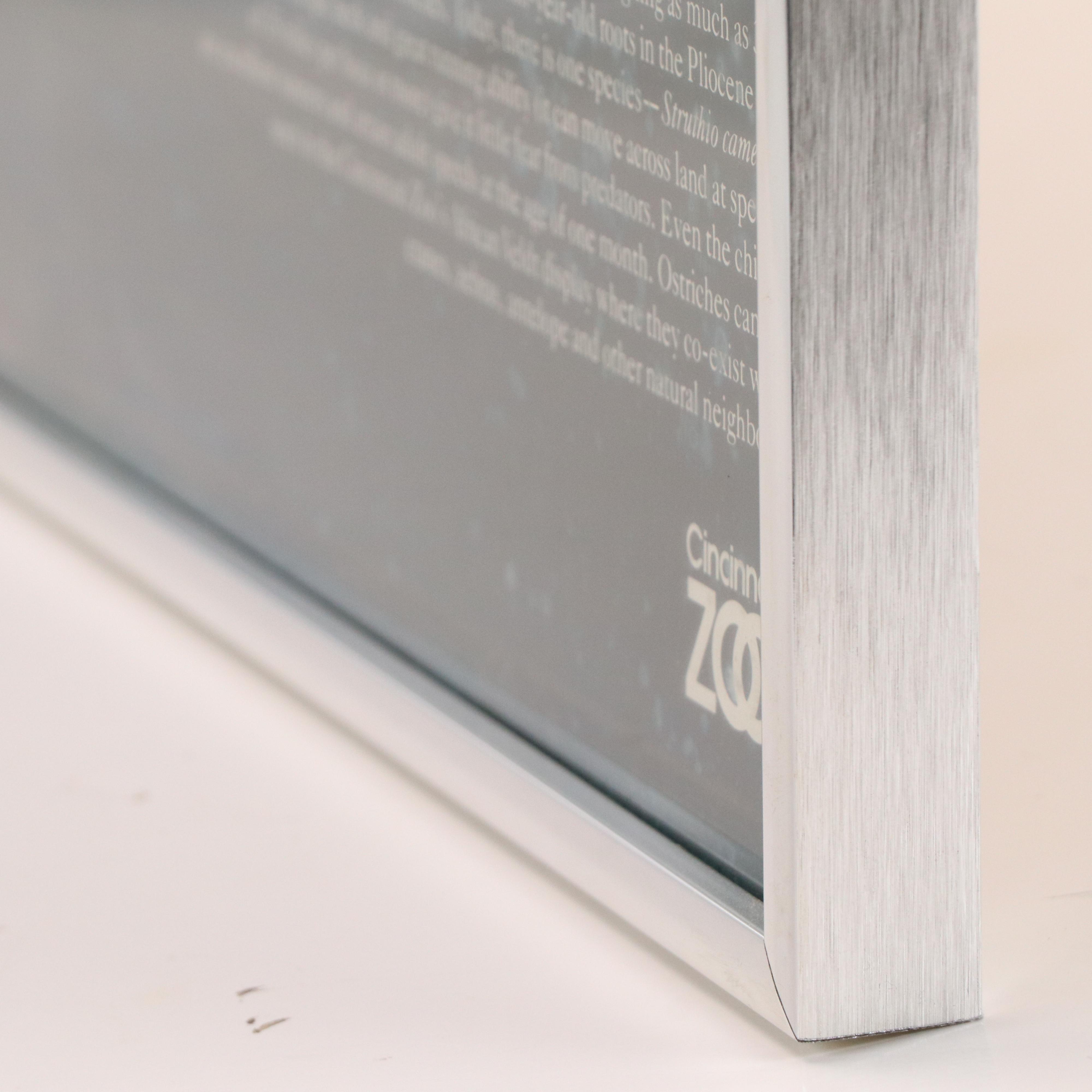 Cincinnati Zoo Posters Depicting Cheetah and Ostrich, Late 20th Century