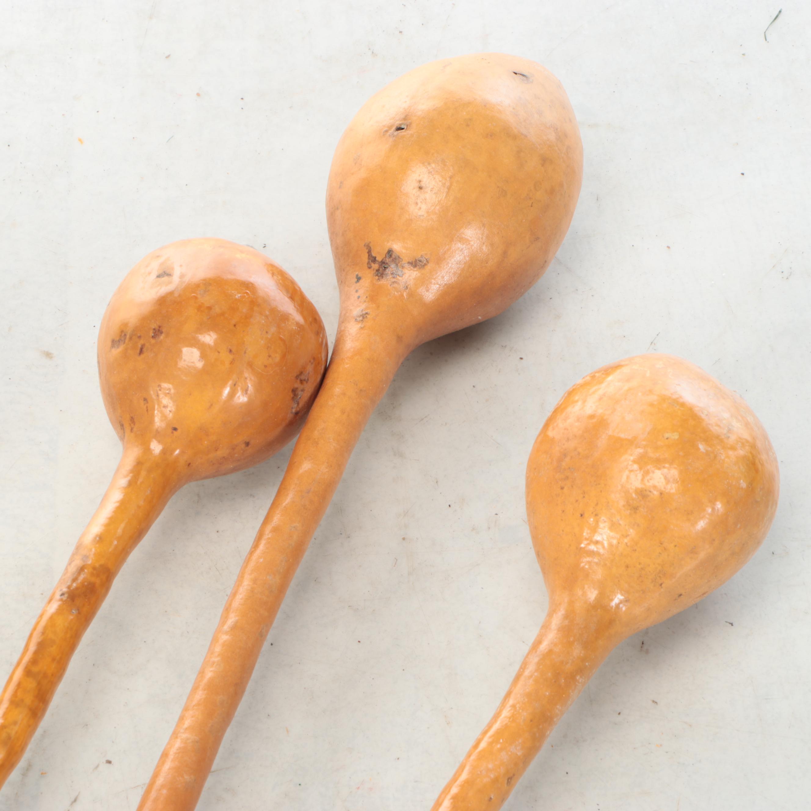 Dried Gourd Spoons and Other Natural Décor