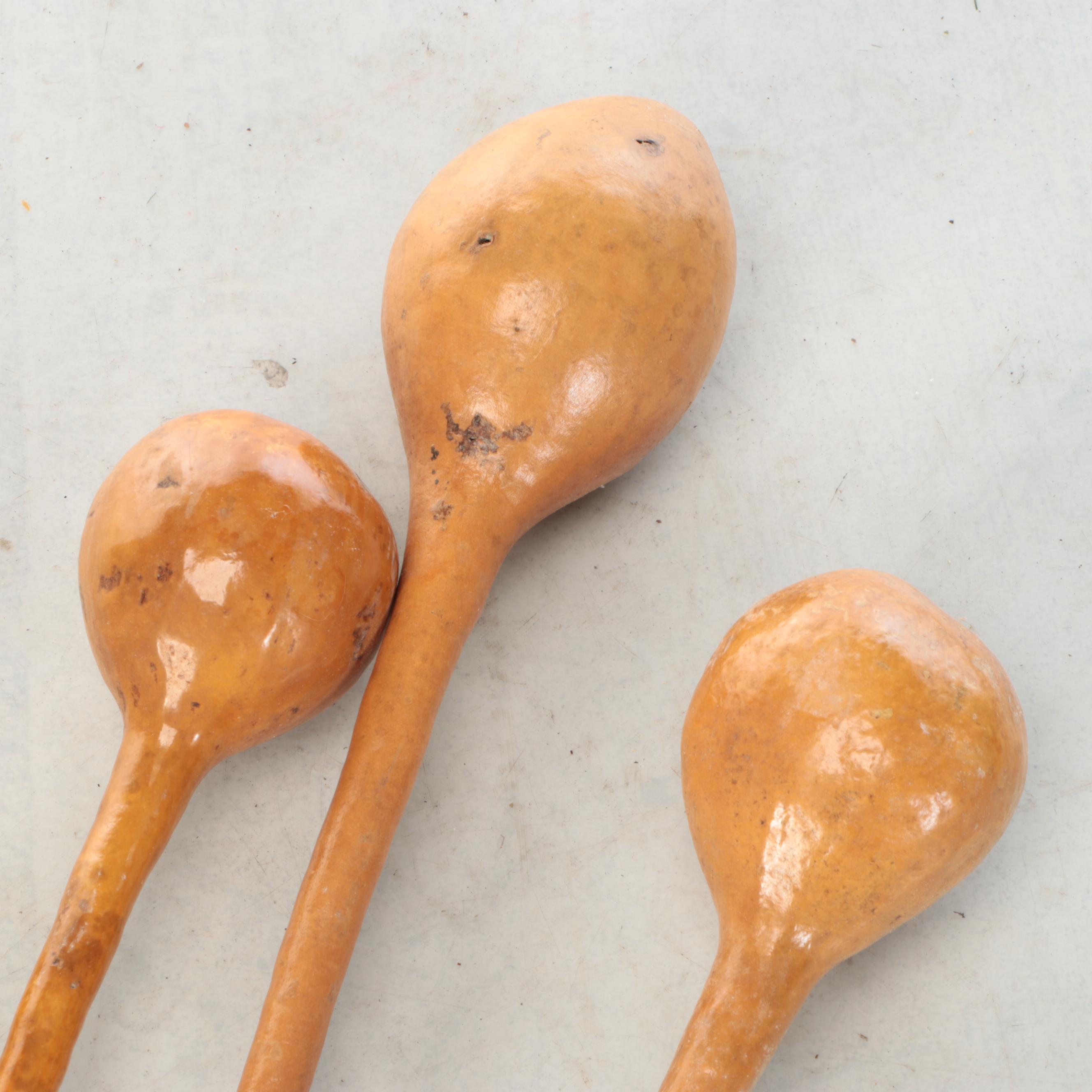 Dried Gourd Spoons and Other Natural Décor