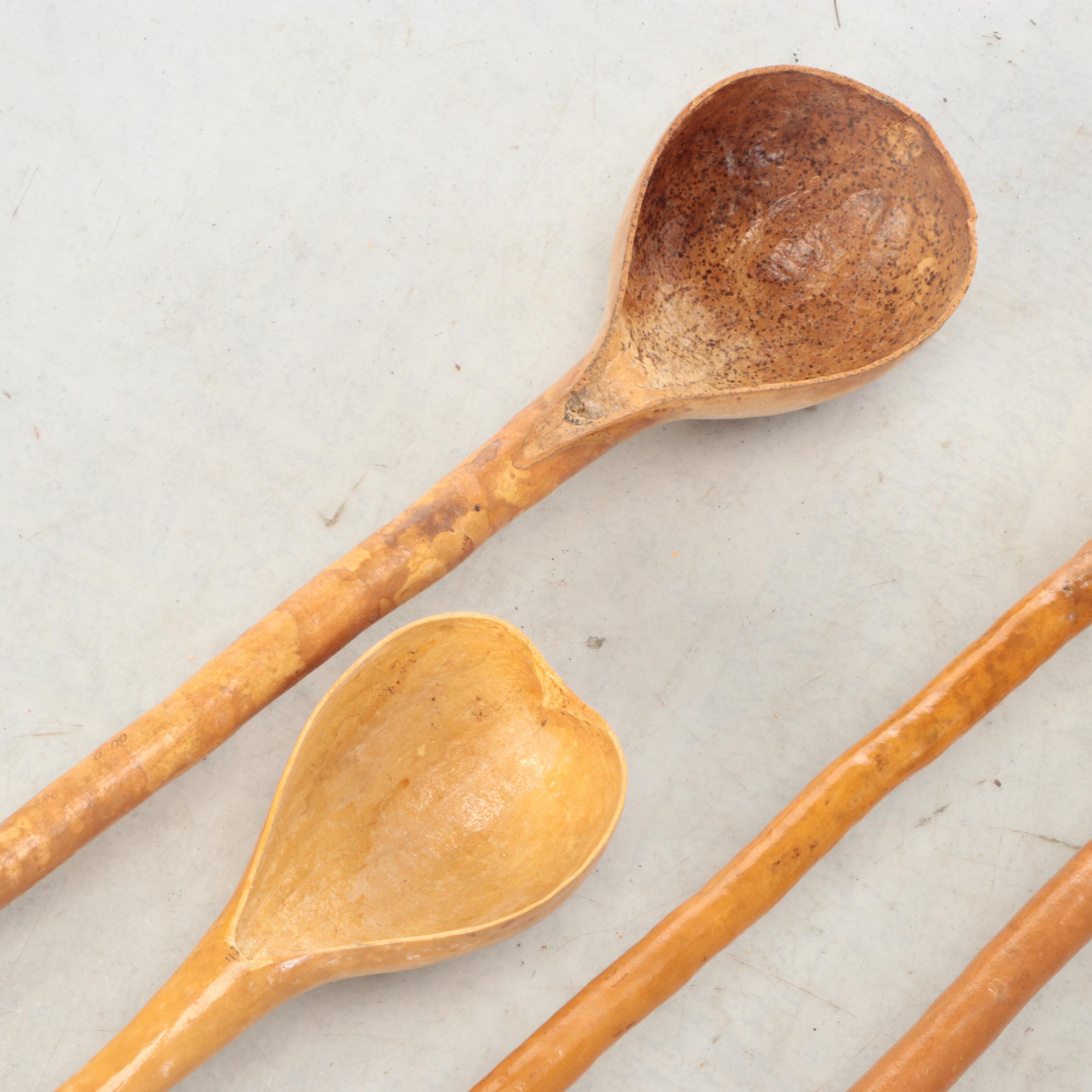 Dried Gourd Spoons and Other Natural Décor
