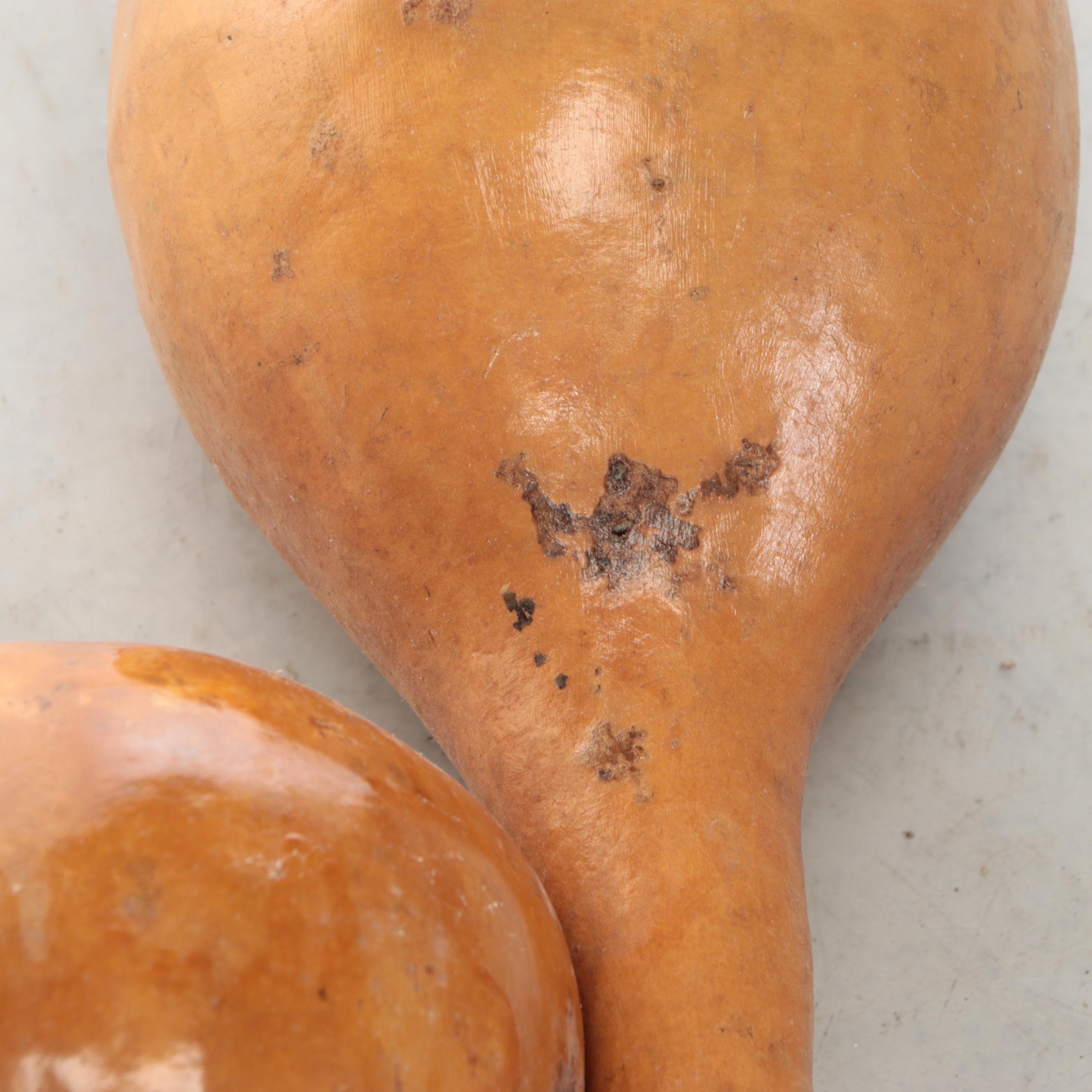 Dried Gourd Spoons and Other Natural Décor