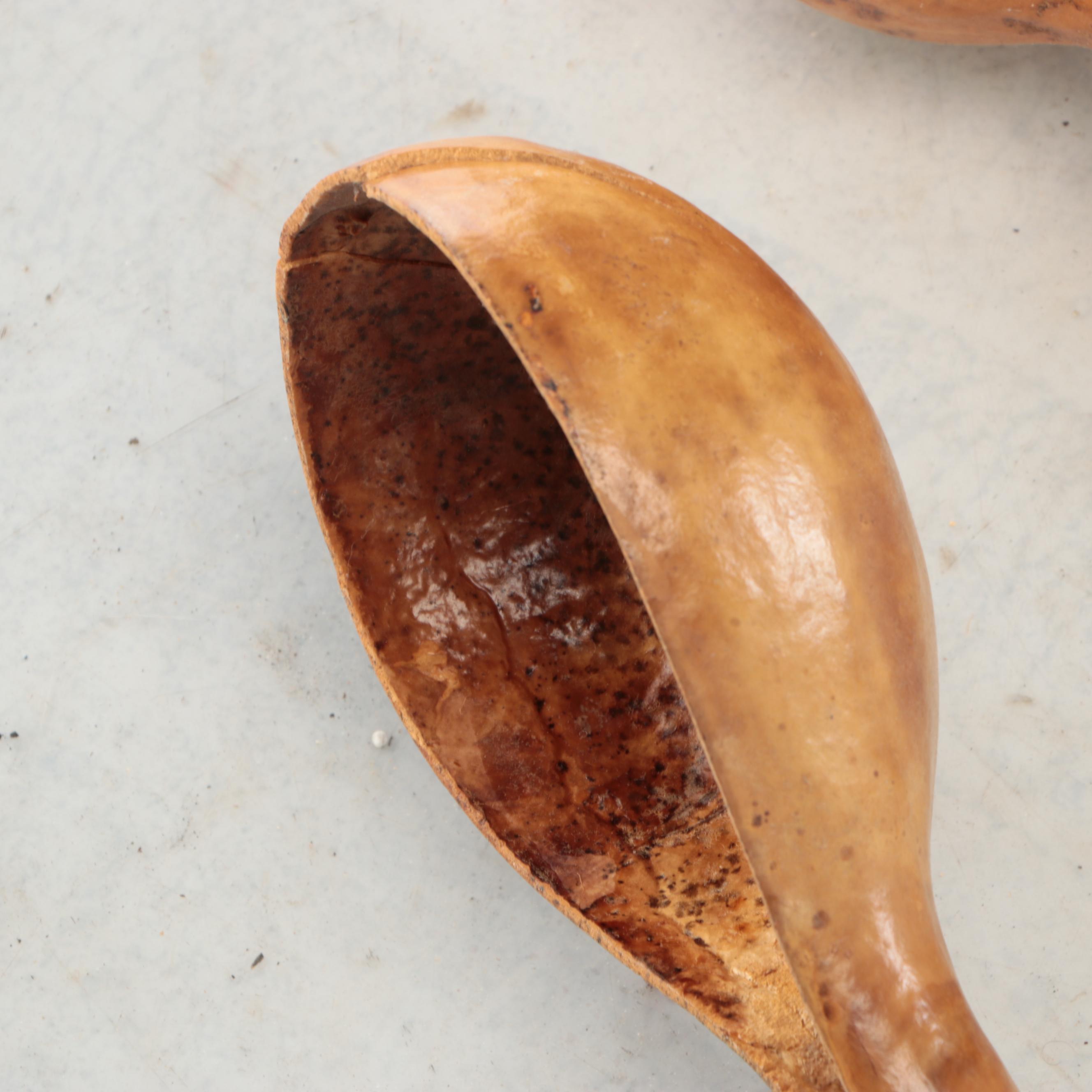 Dried Gourd Spoons and Other Natural Décor