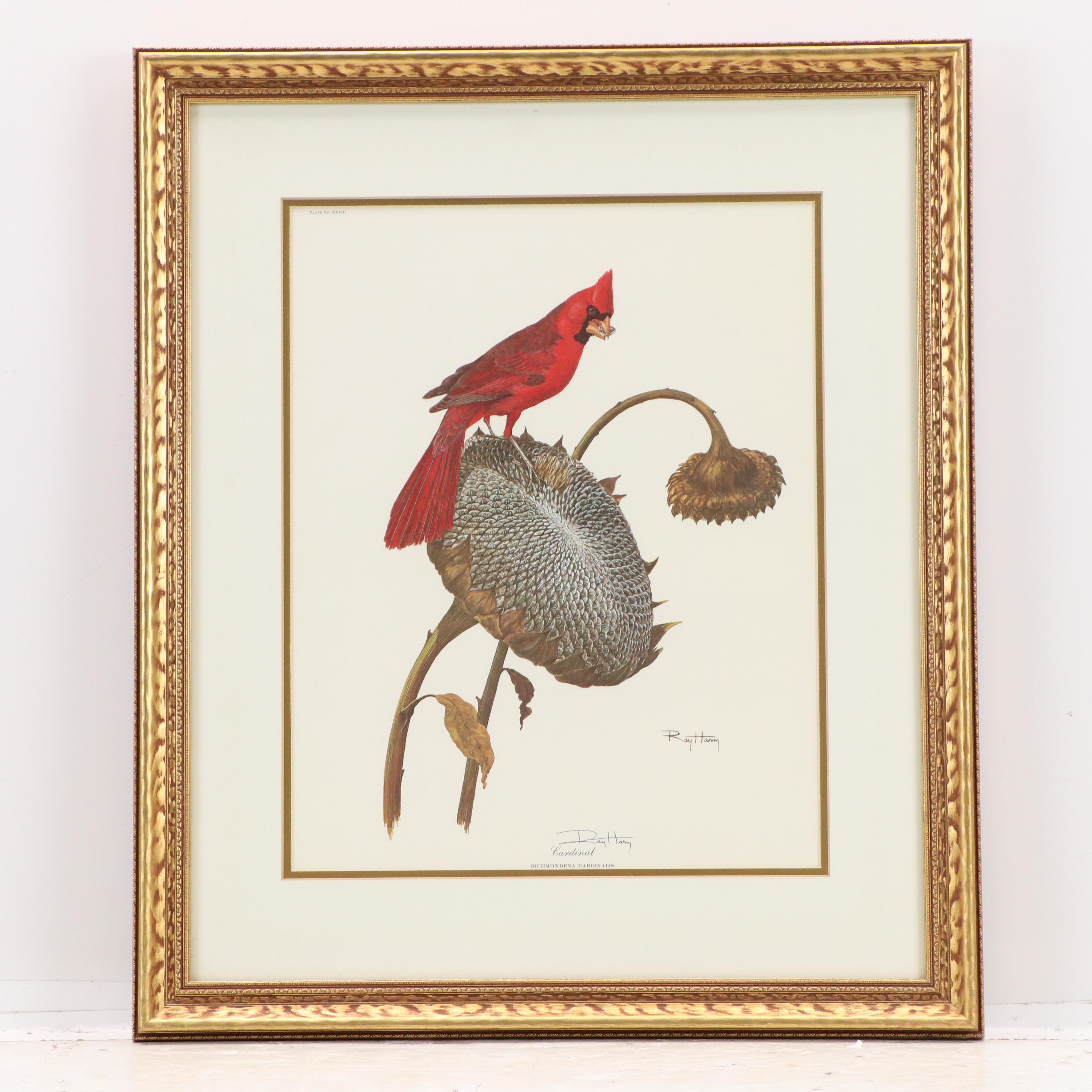 Ray Harm Offset Lithographs "Cardinal" and "Summer Tanager," Mid to Late 20th C.