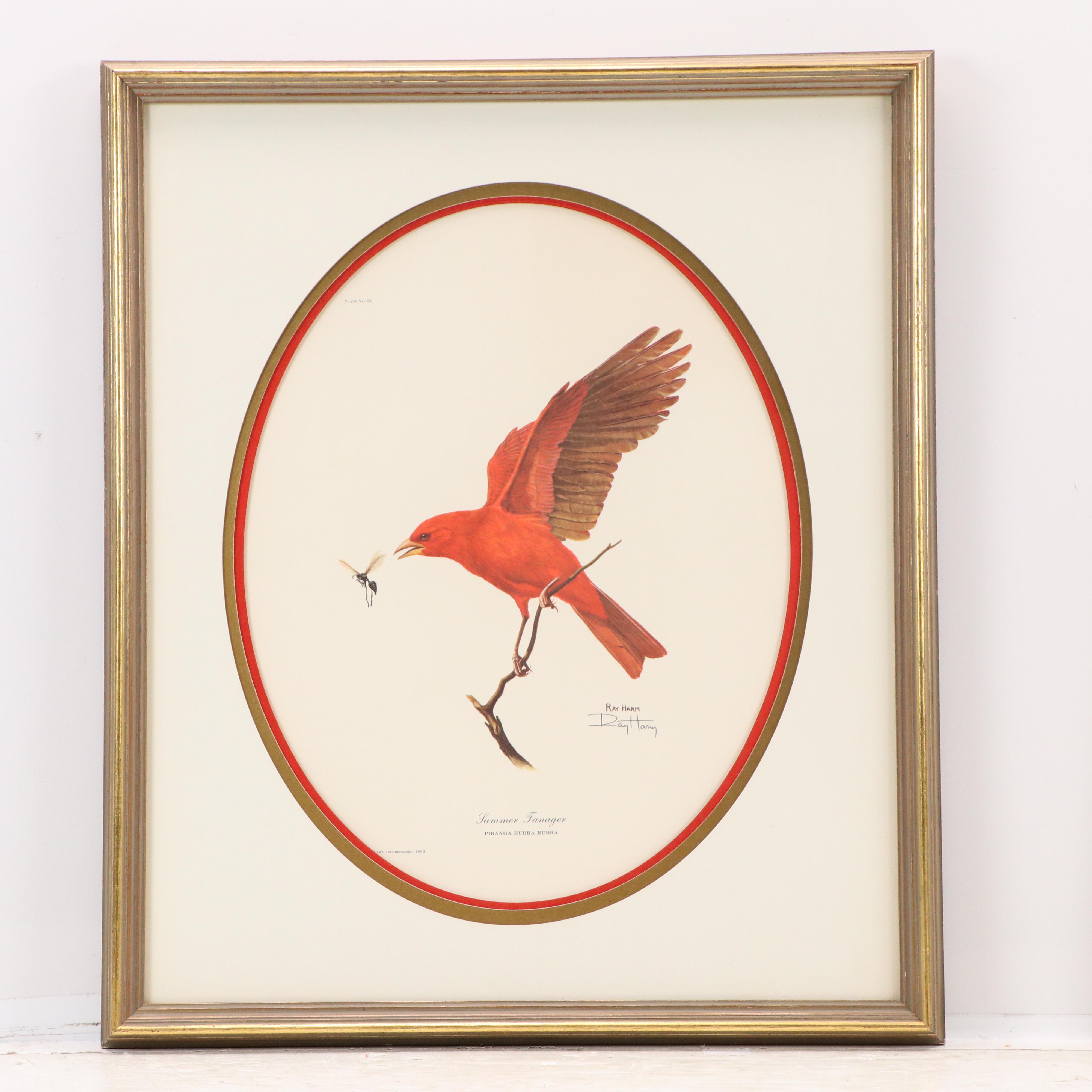 Ray Harm Offset Lithographs "Cardinal" and "Summer Tanager," Mid to Late 20th C.