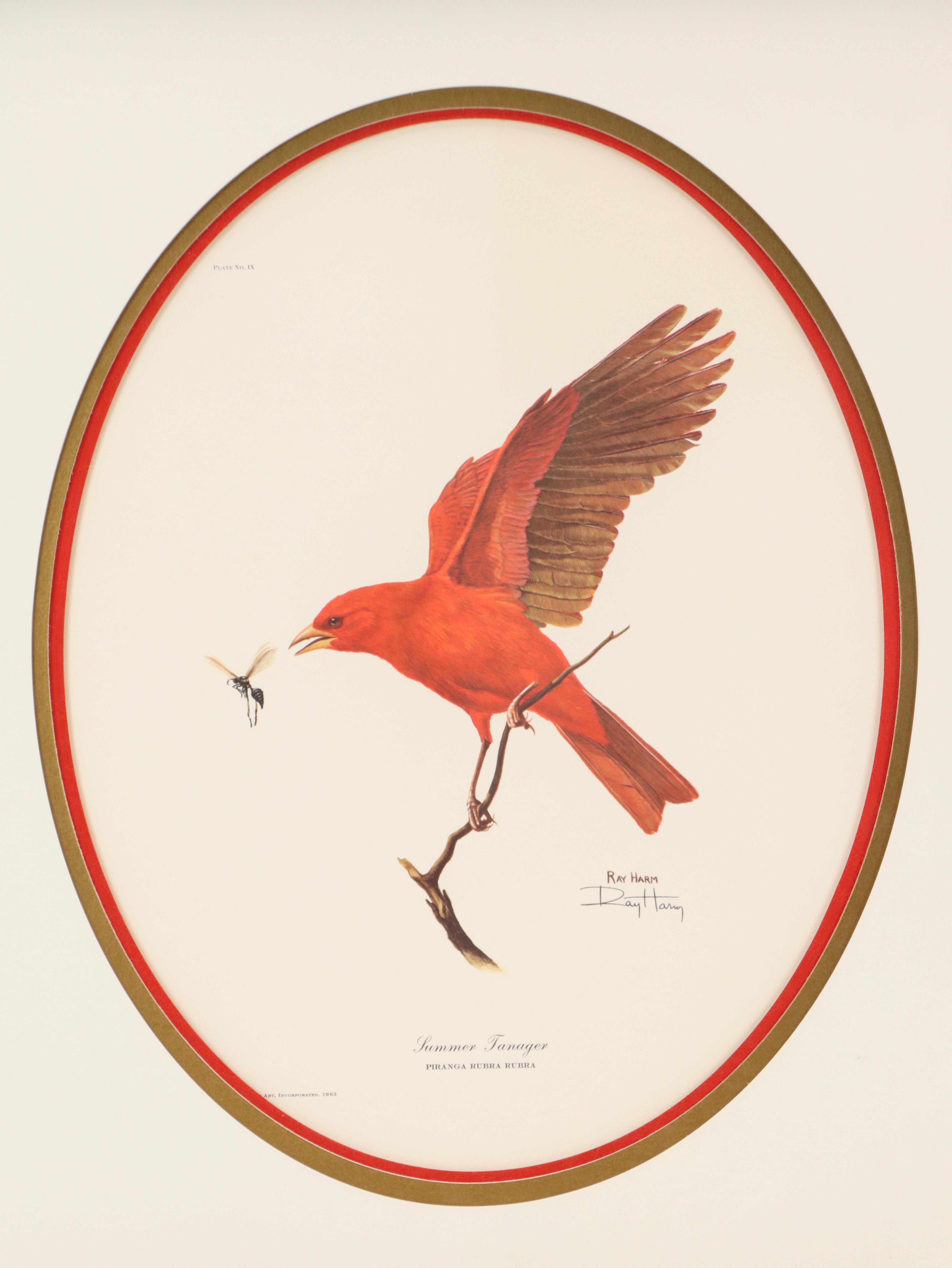 Ray Harm Offset Lithographs "Cardinal" and "Summer Tanager," Mid to Late 20th C.