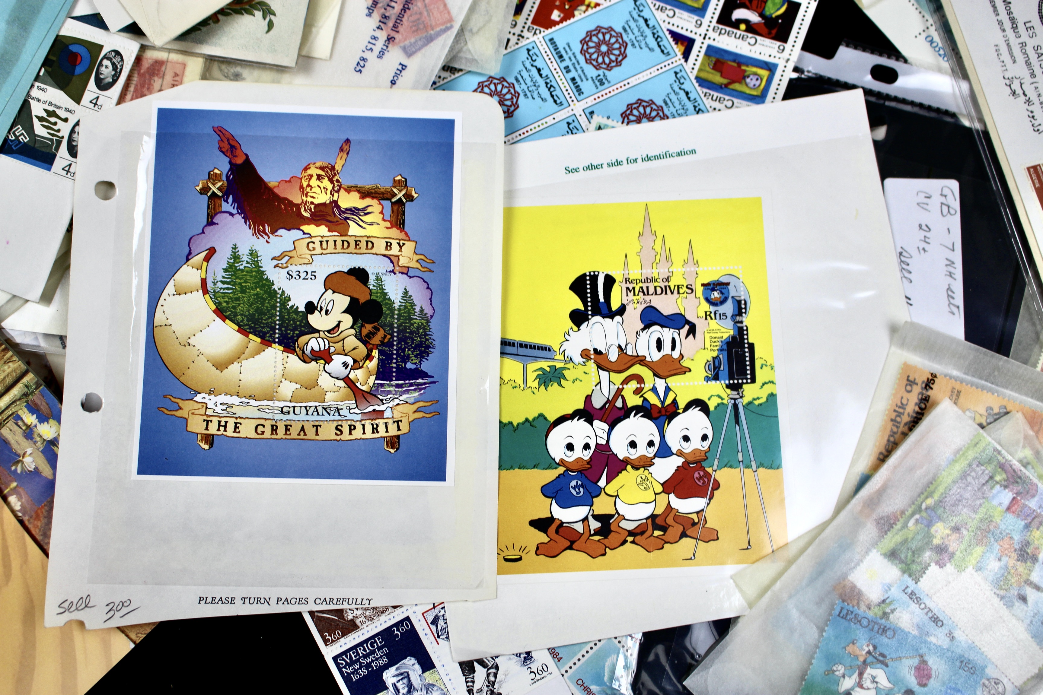 14-Pound Box of Postage Stamps and Stamp Collections