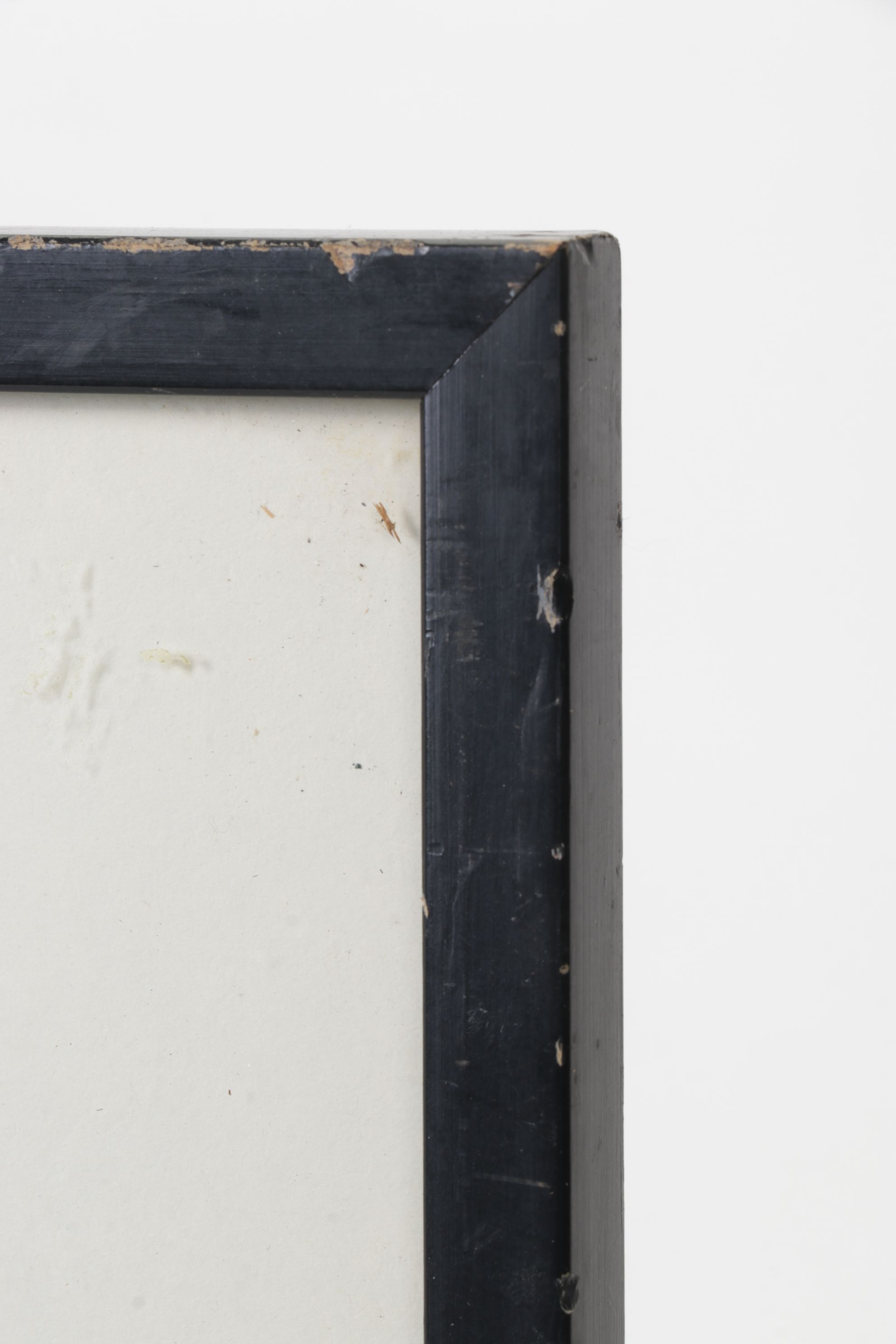 Offset Lithograph After R. Desvarreux-Larpenteur "Washington's Life Guard"