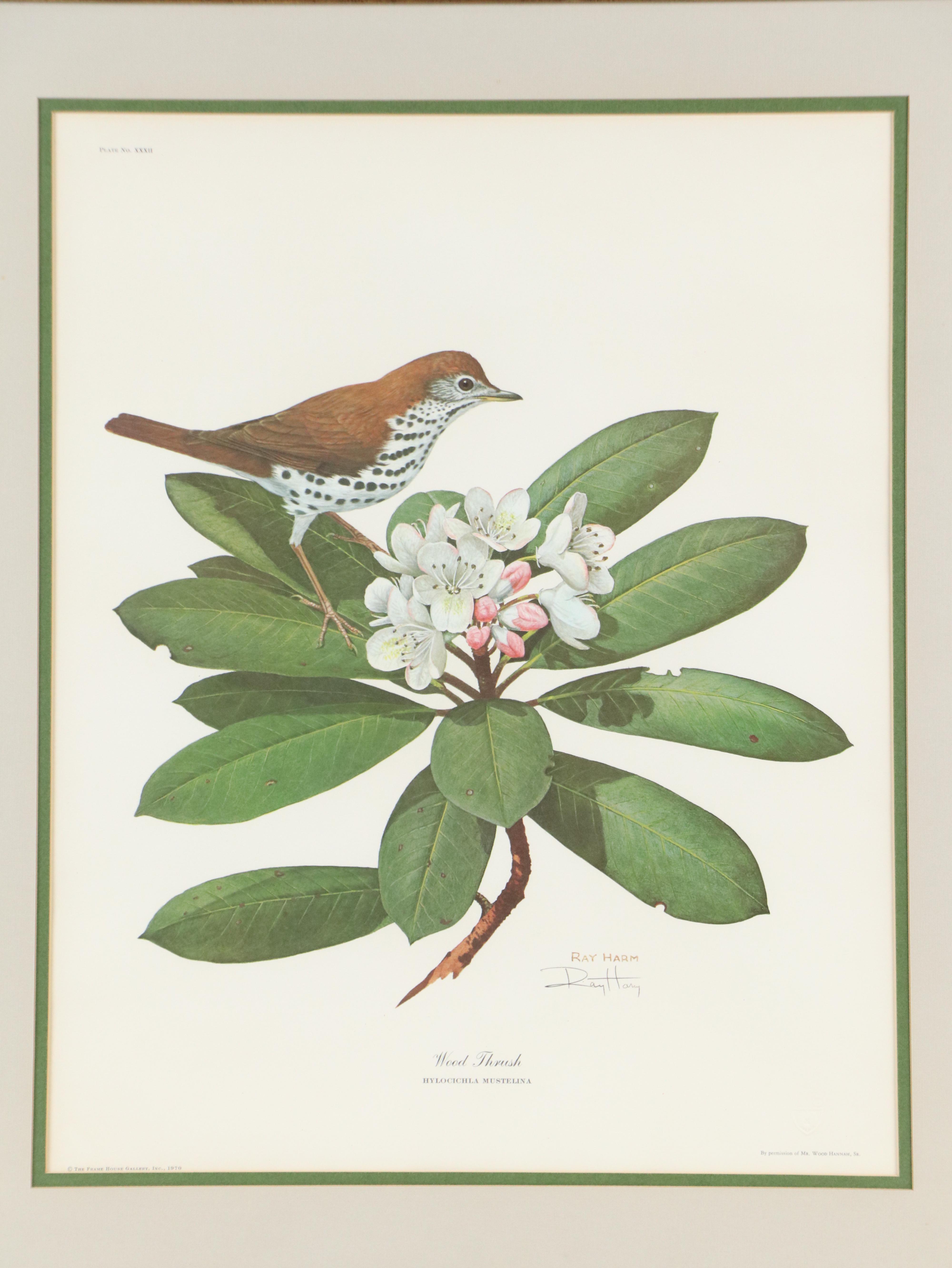 Ray Harm Offset Lithograph "Wood Thrush"