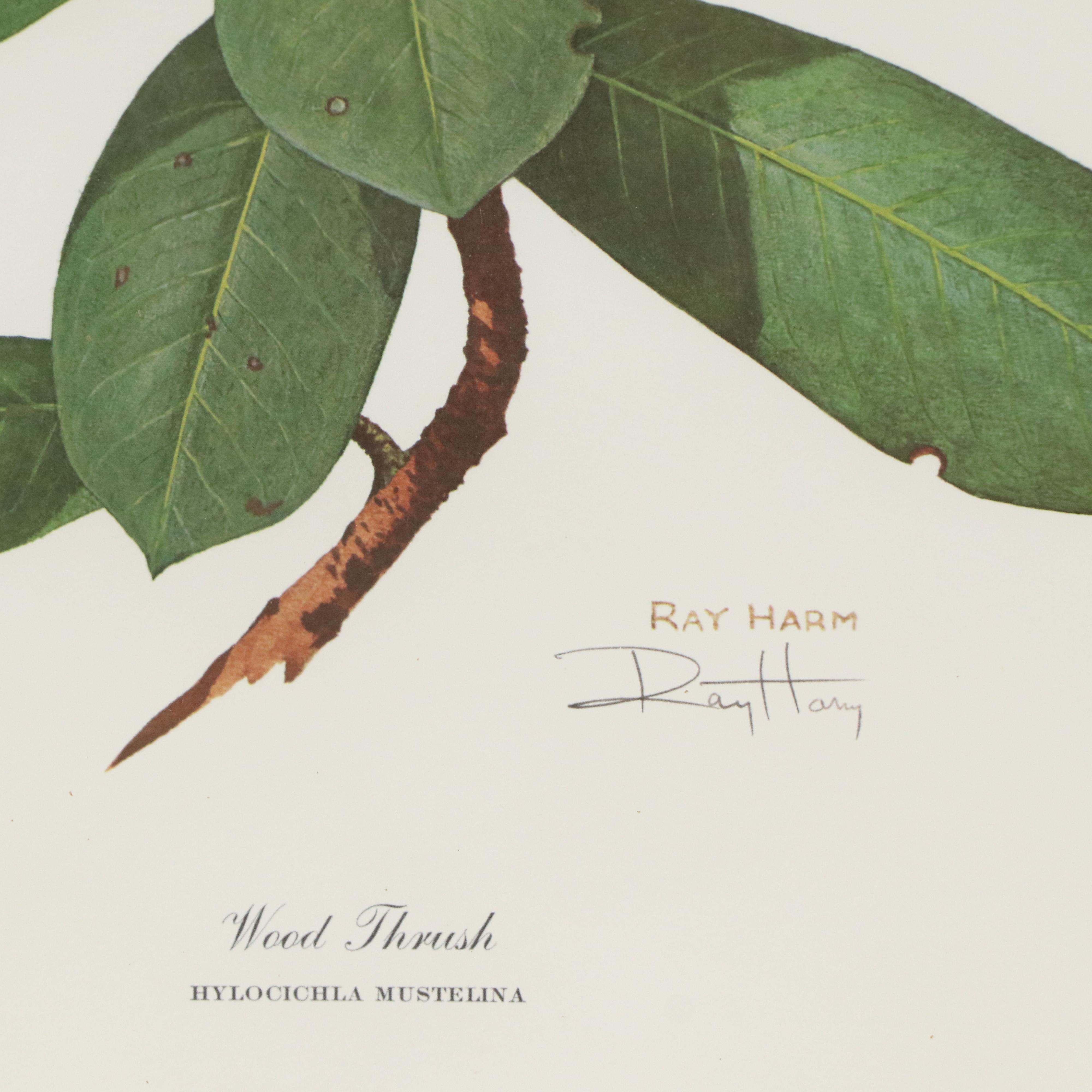 Ray Harm Offset Lithograph "Wood Thrush"