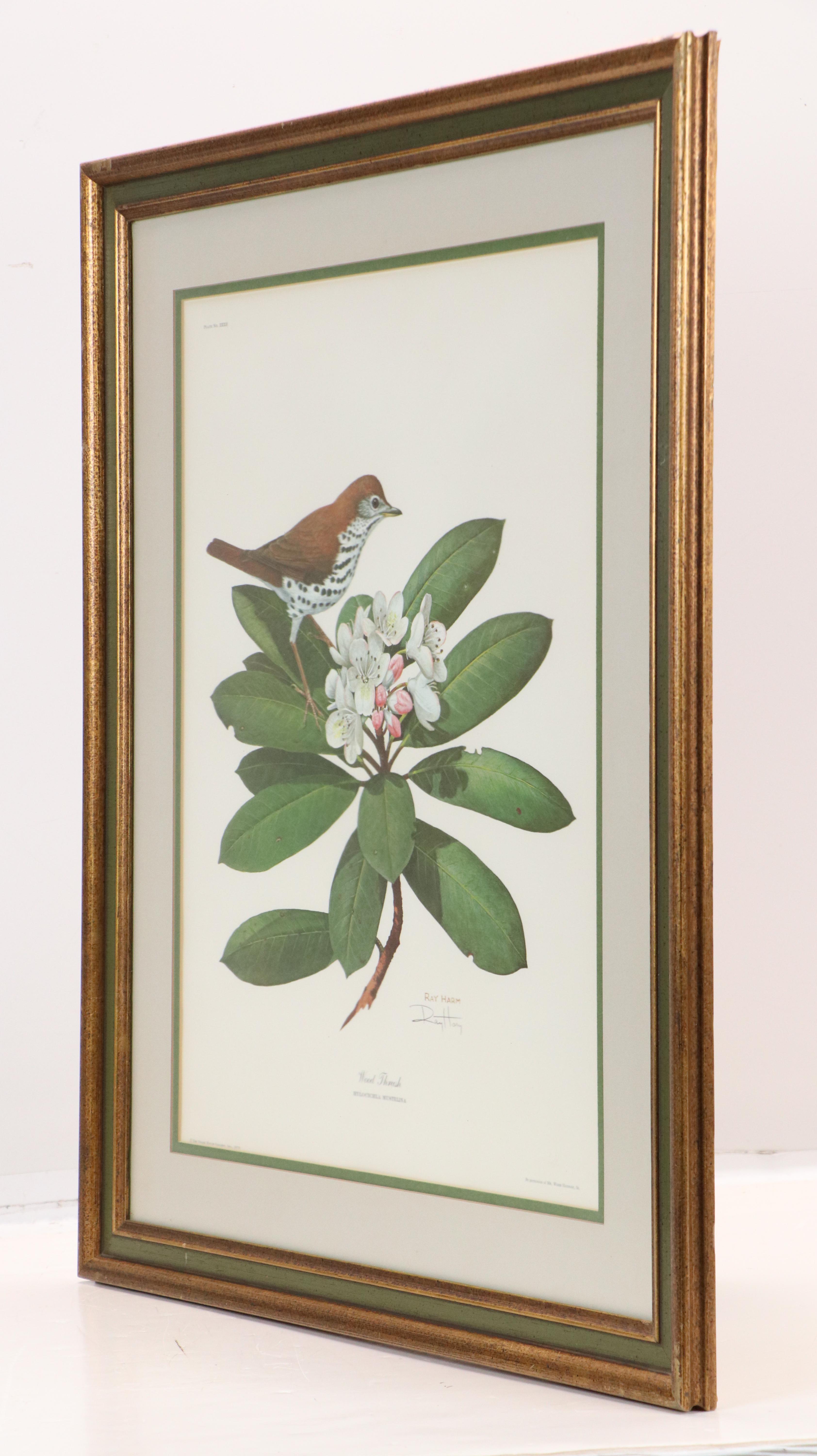 Ray Harm Offset Lithograph "Wood Thrush"