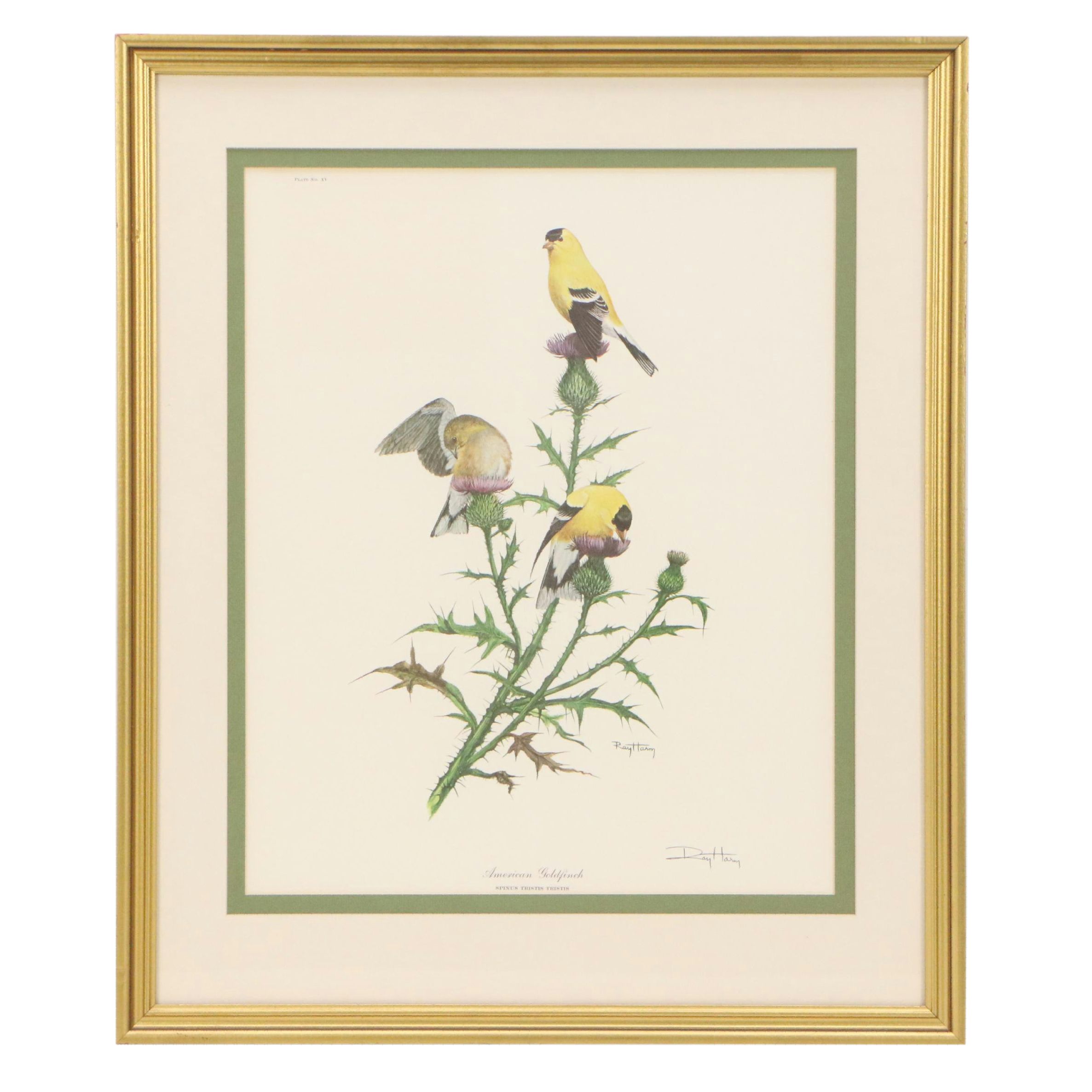 Ray Harm Offset Lithograph "American Goldfinch," Mid to Late 20th Century