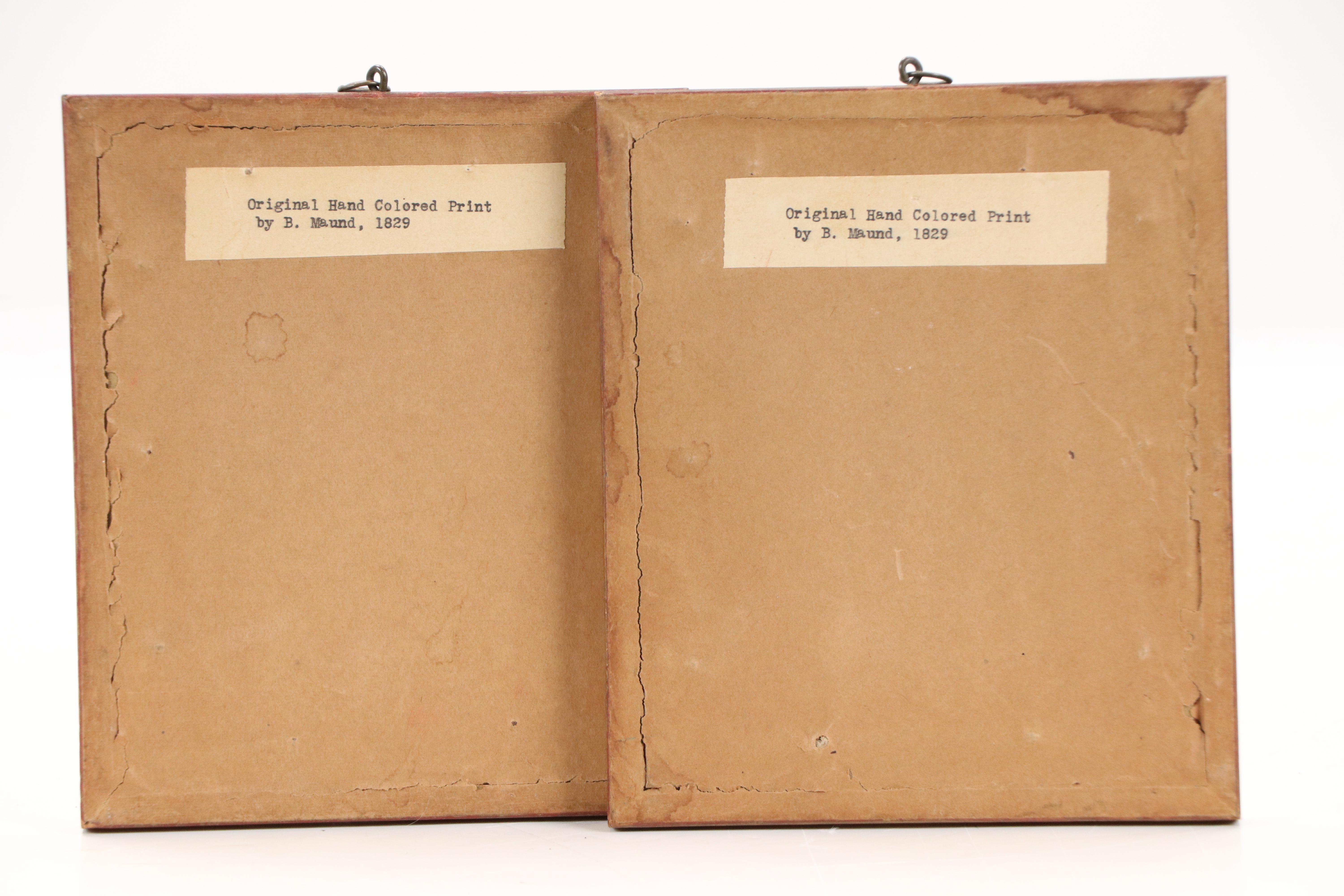 Benjamin Maund Botanical Etchings, Circa 1829